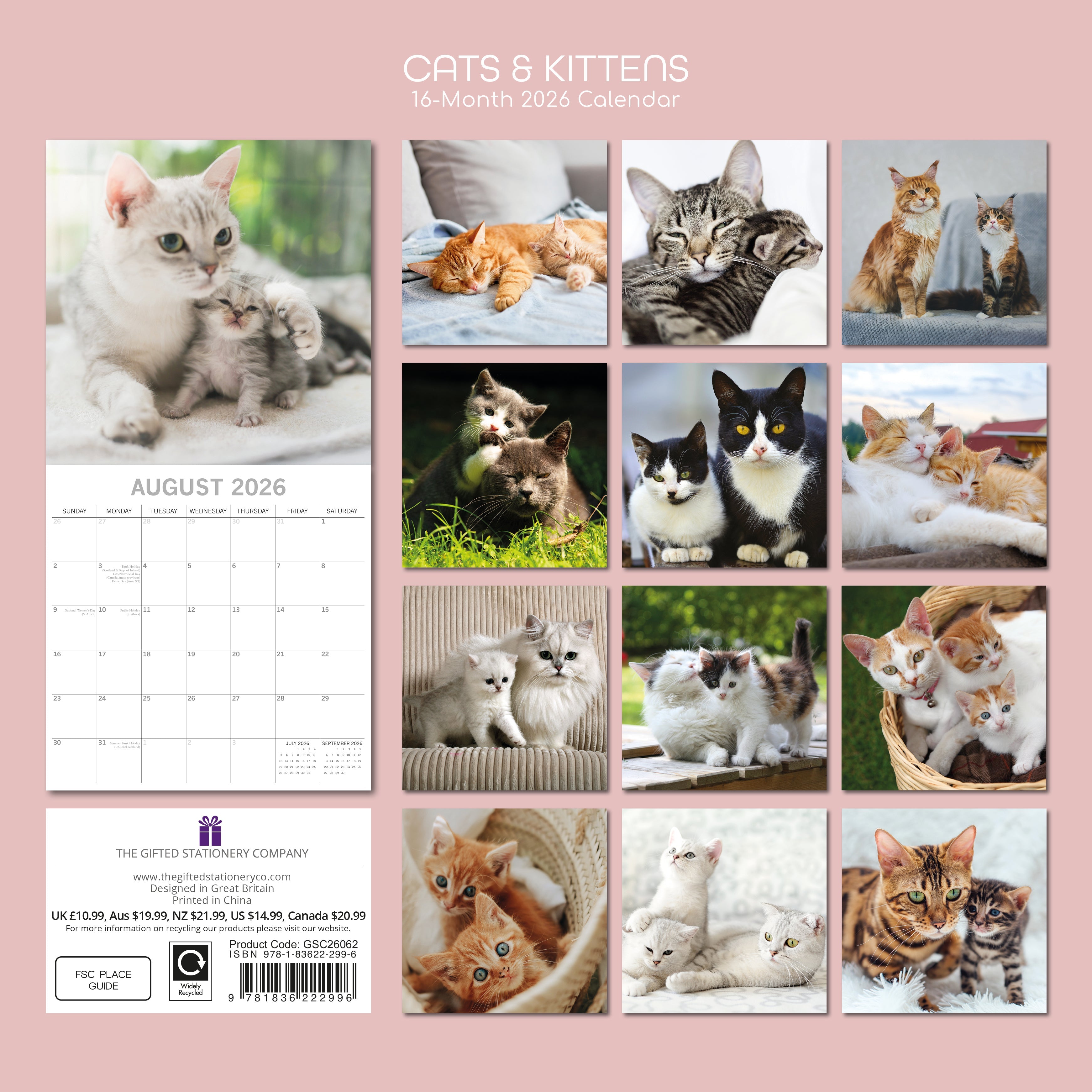 2026 Cats & Kittens - Square Wall Calendar