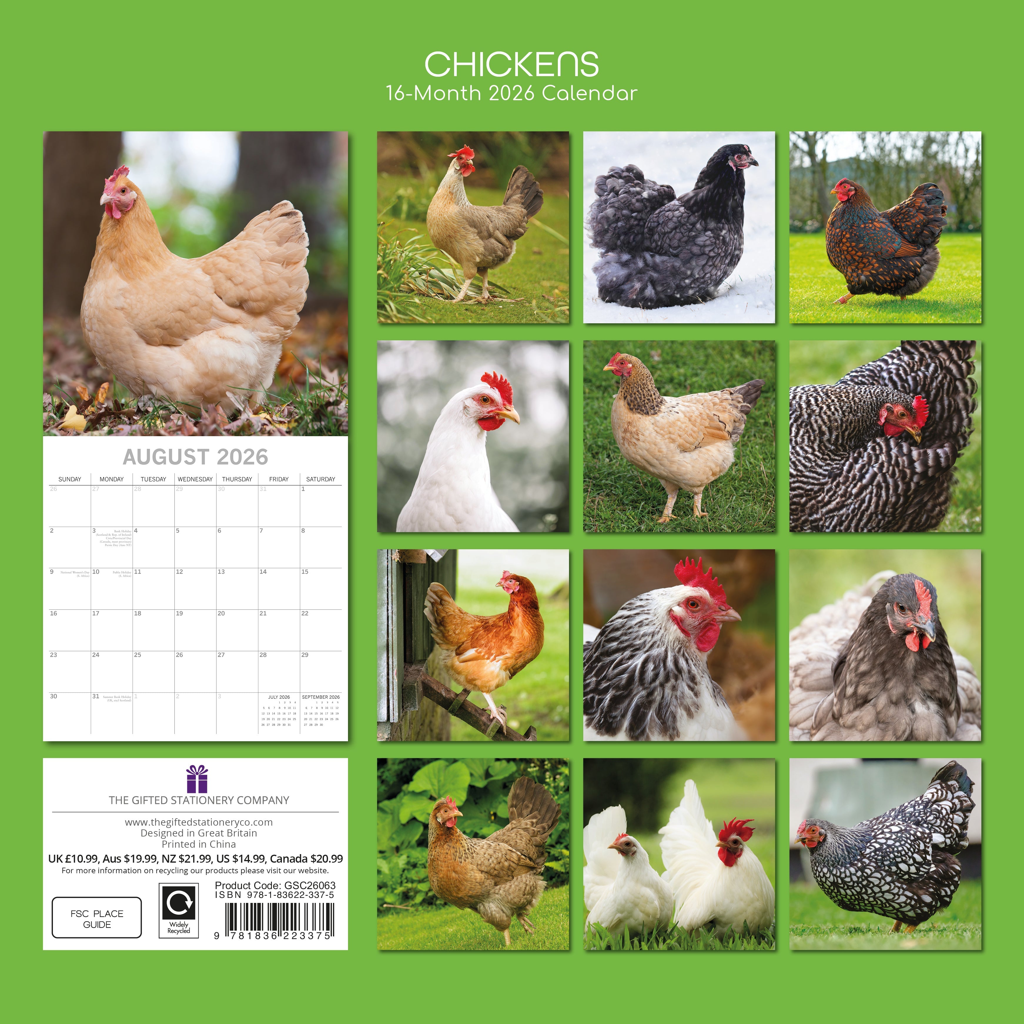2026 Chickens - Square Wall Calendar