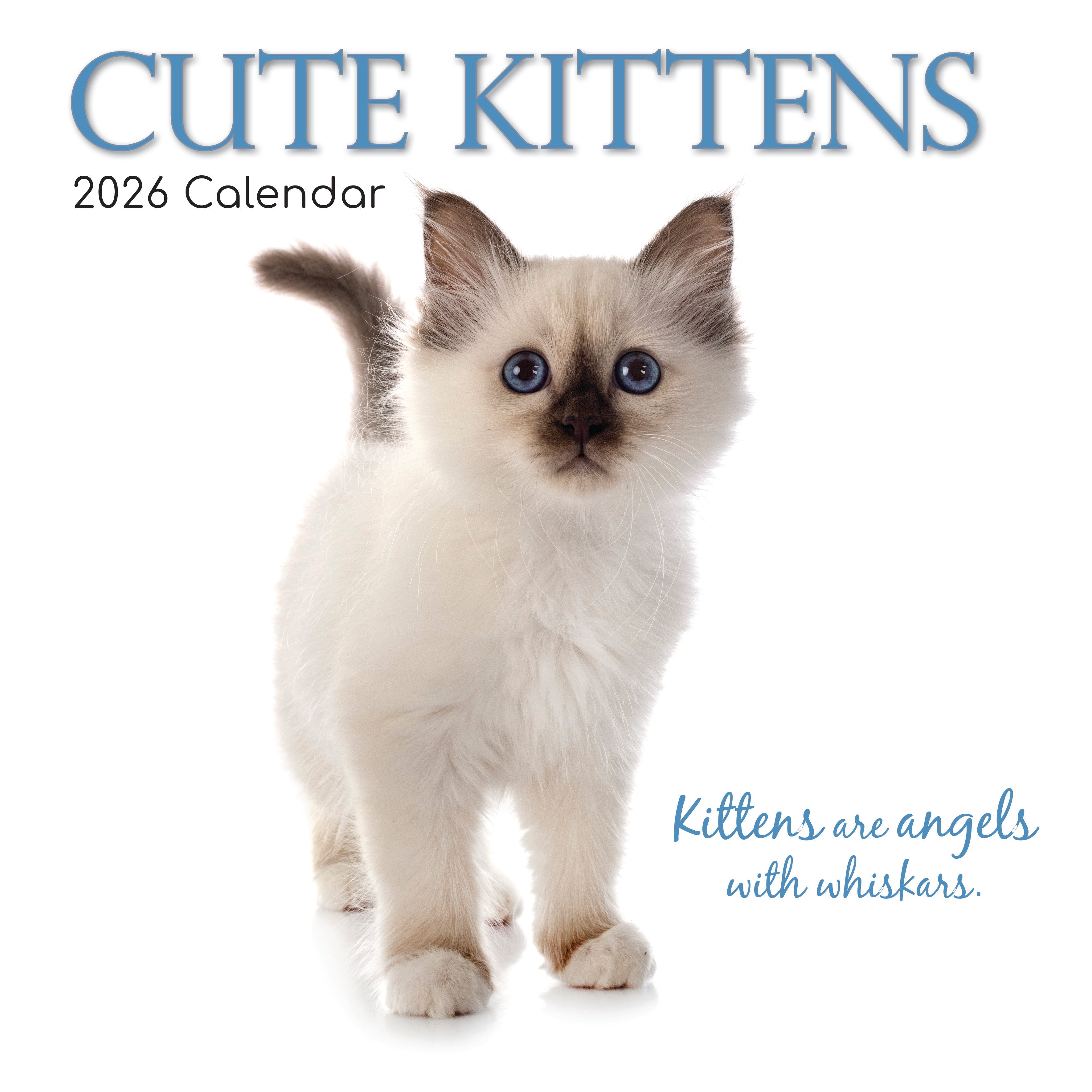 2026 Cute Kittens - Square Wall Calendar, image size:3543x3543