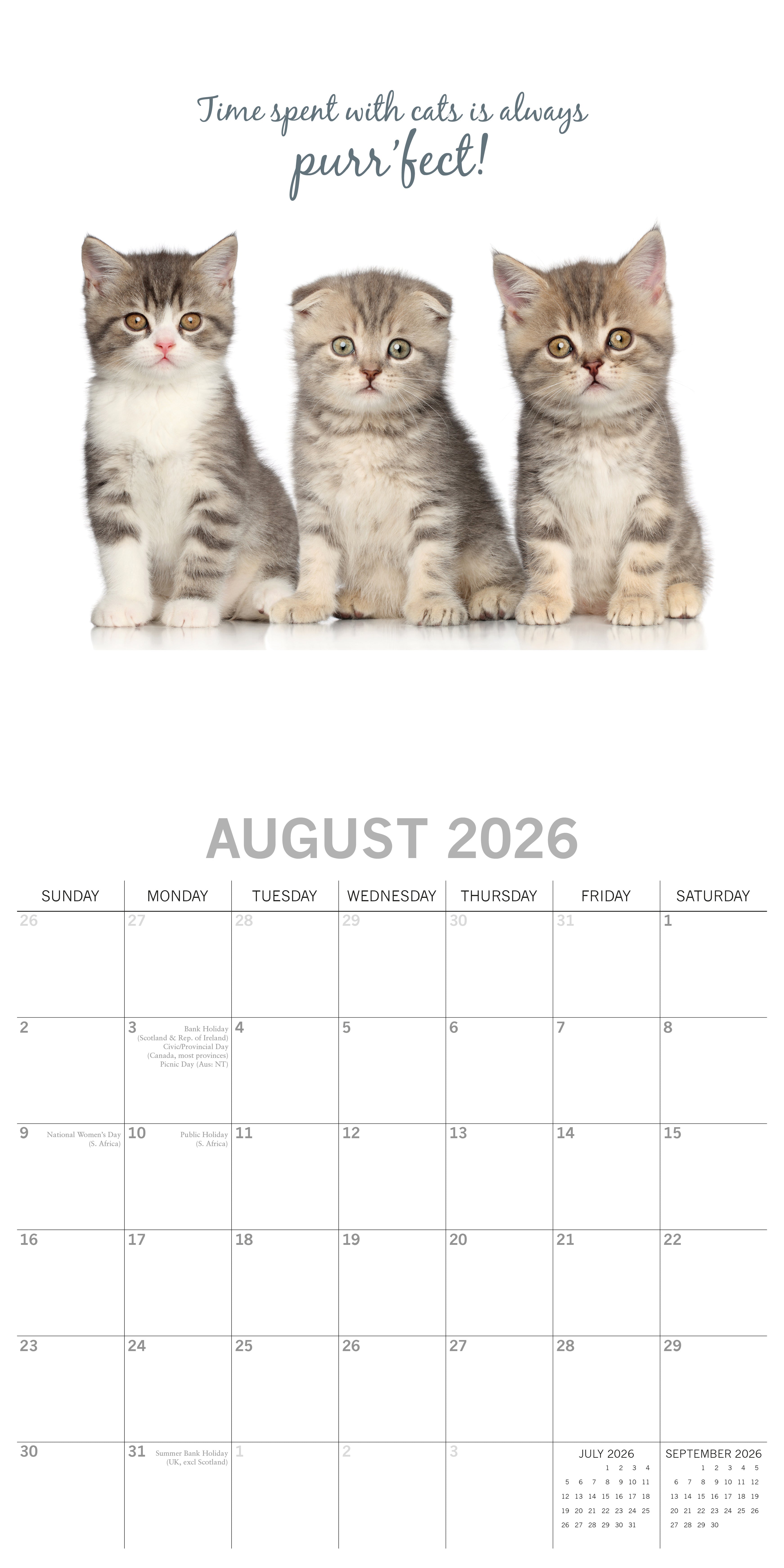 2026 Cute Kittens - Square Wall Calendar