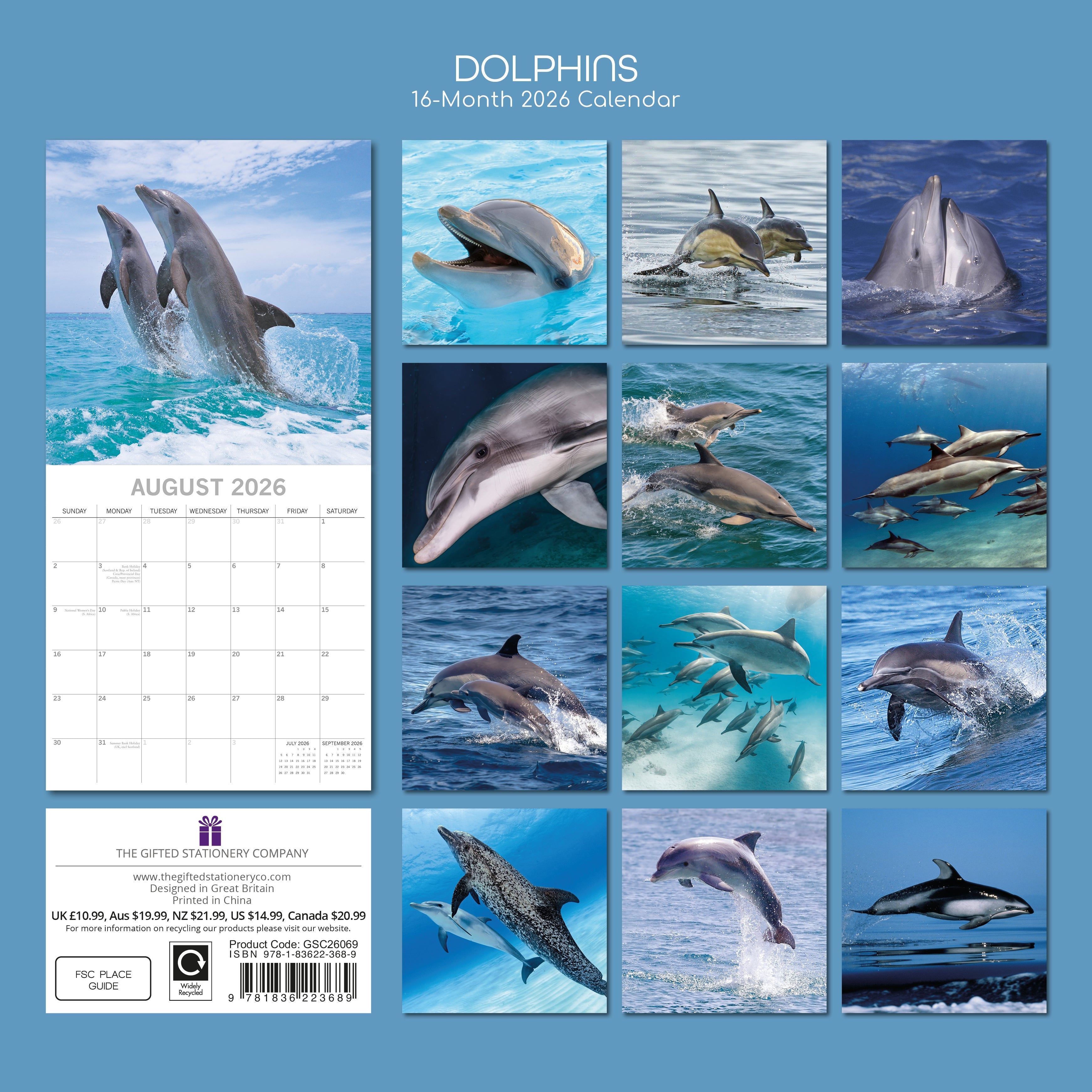2026 Dolphins - Square Wall Calendar