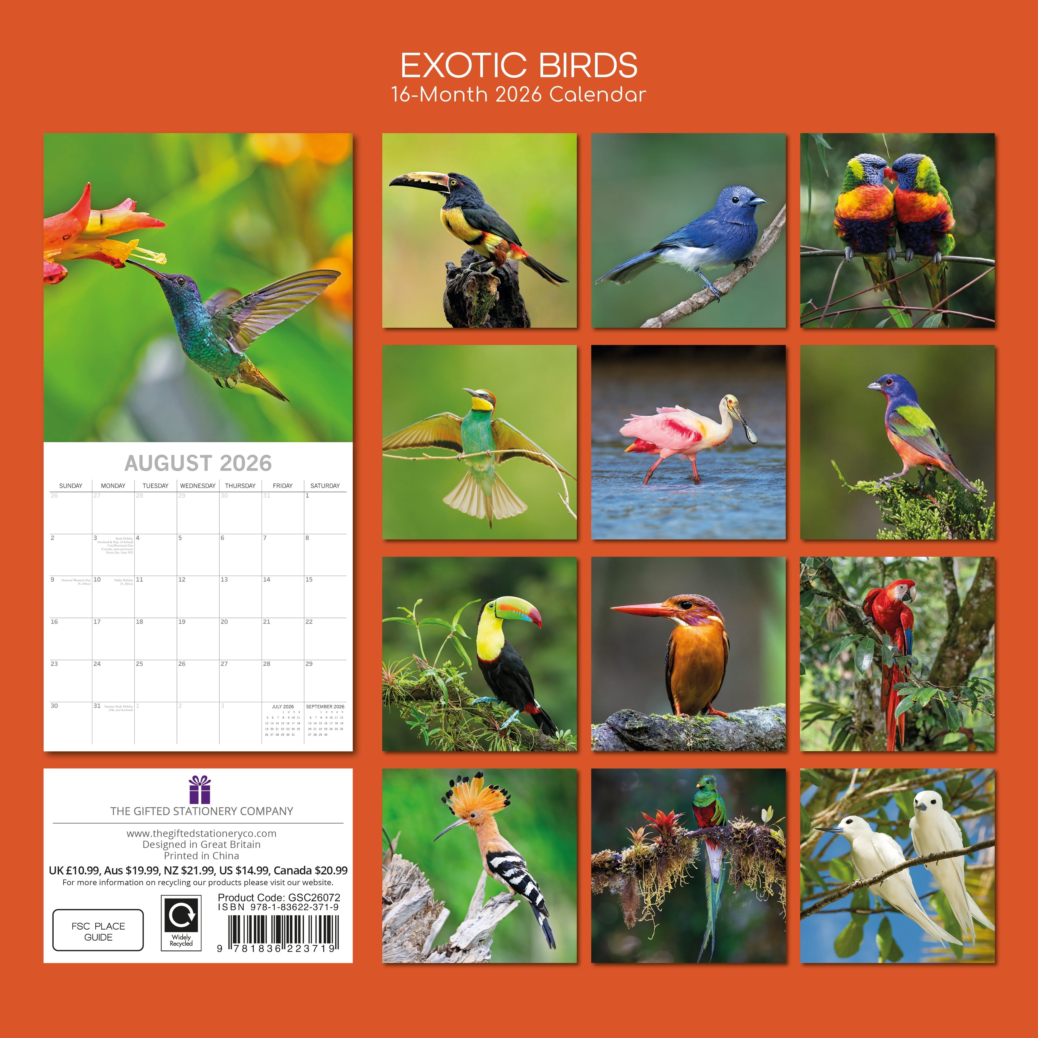 2026 Exotic Birds - Square Wall Calendar