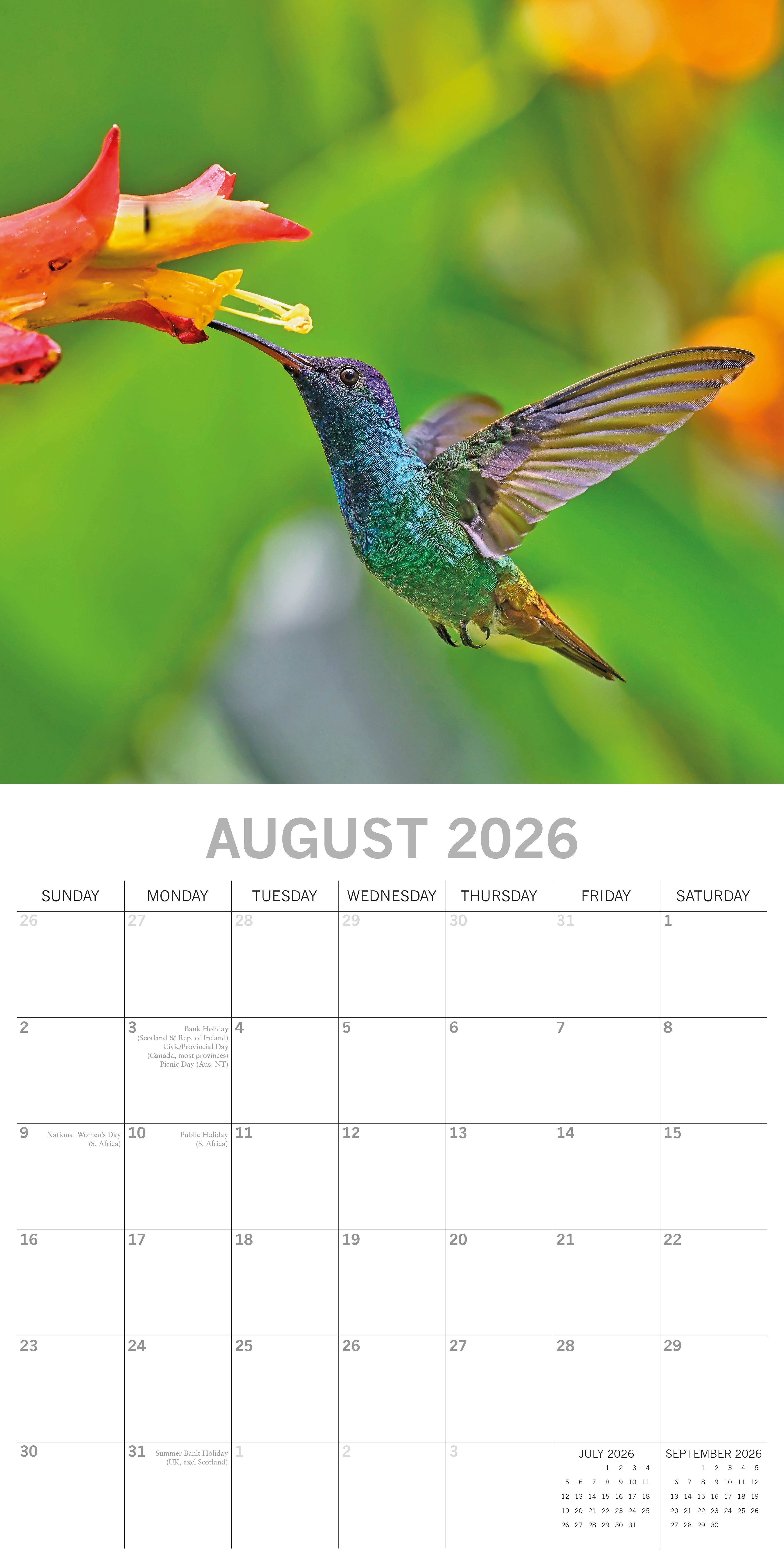 2026 Exotic Birds - Square Wall Calendar