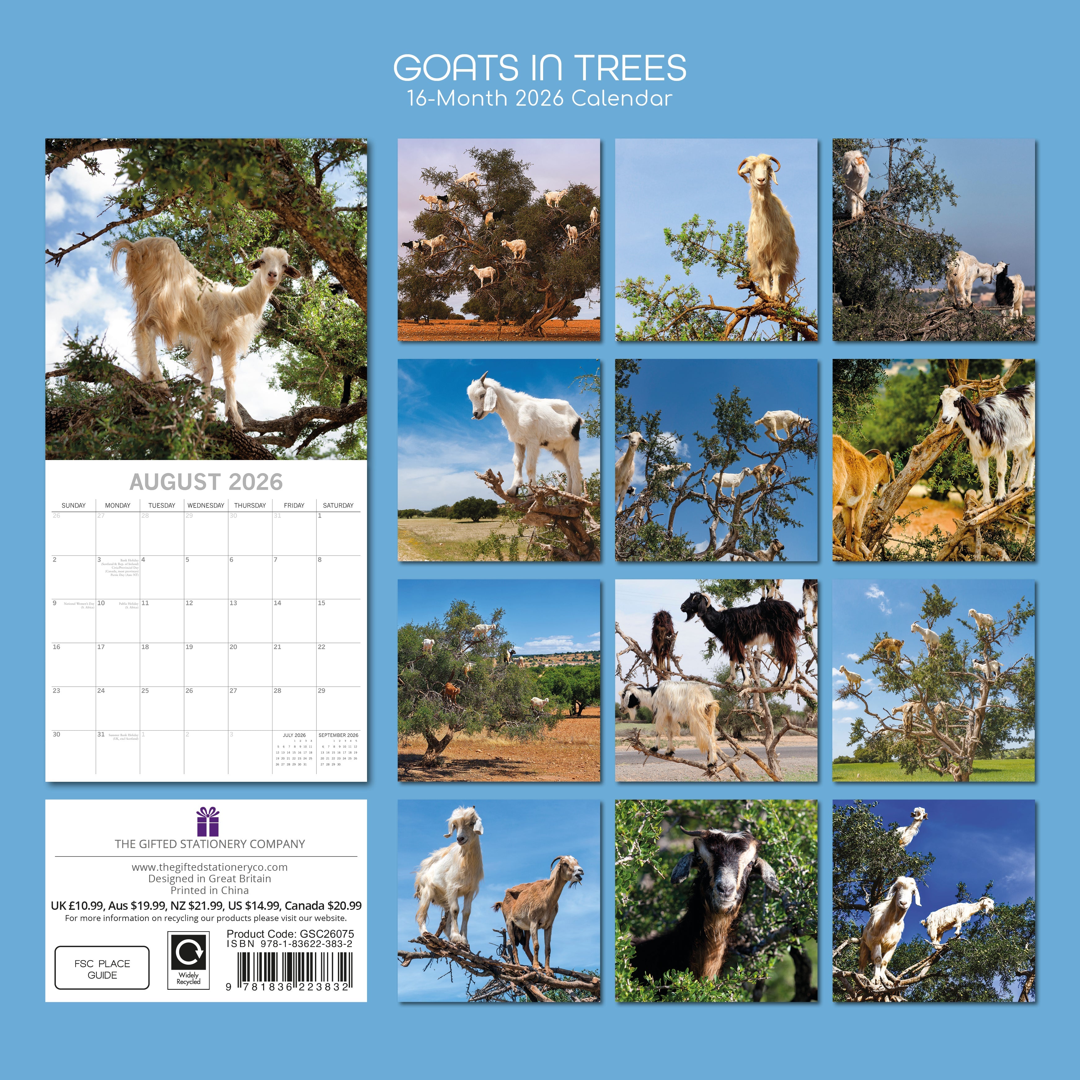 2026 Goats in Trees - Square Wall Calendar