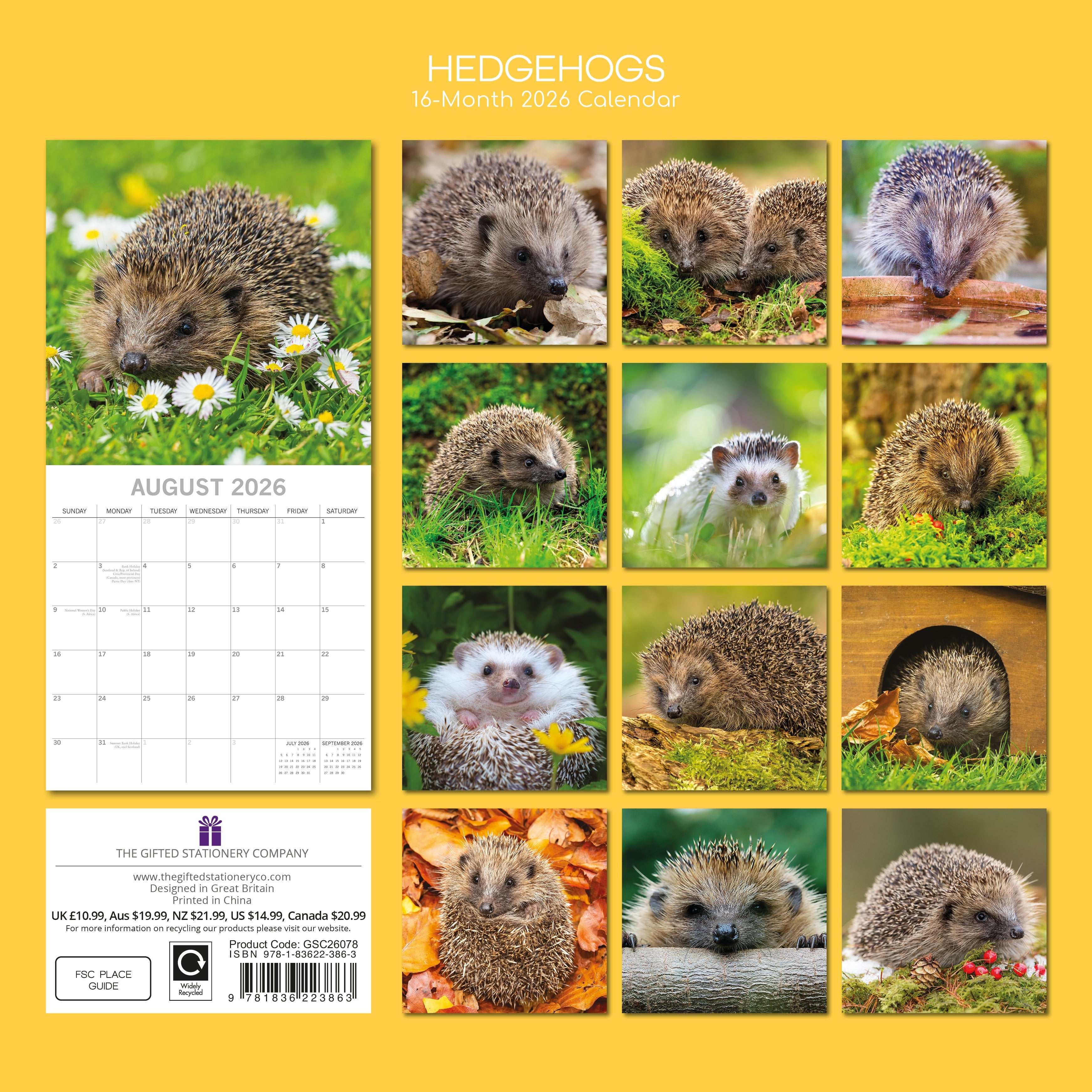 2026 Hedgehogs - Square Wall Calendar