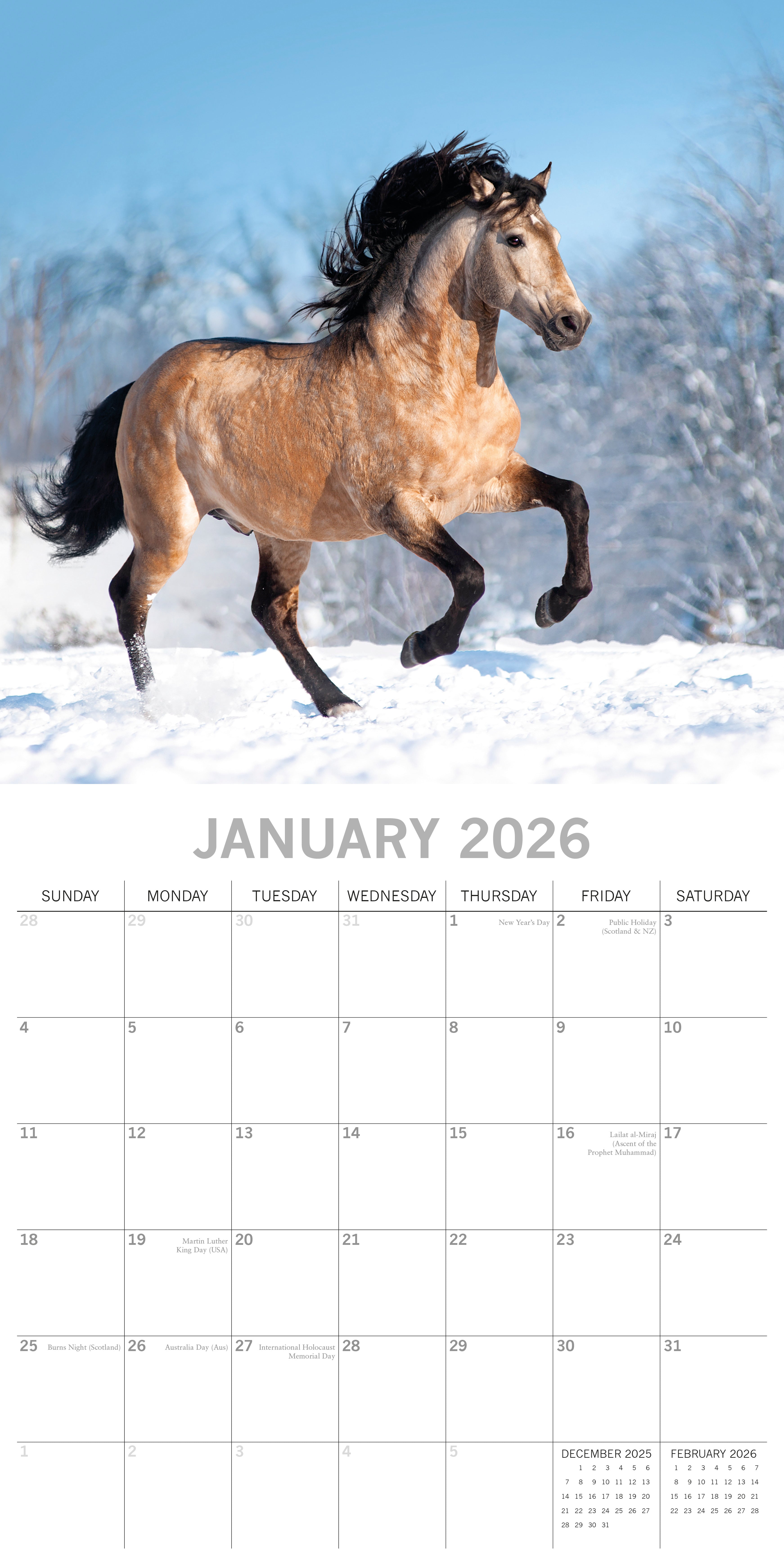 2026 Horses - Square Wall Calendar