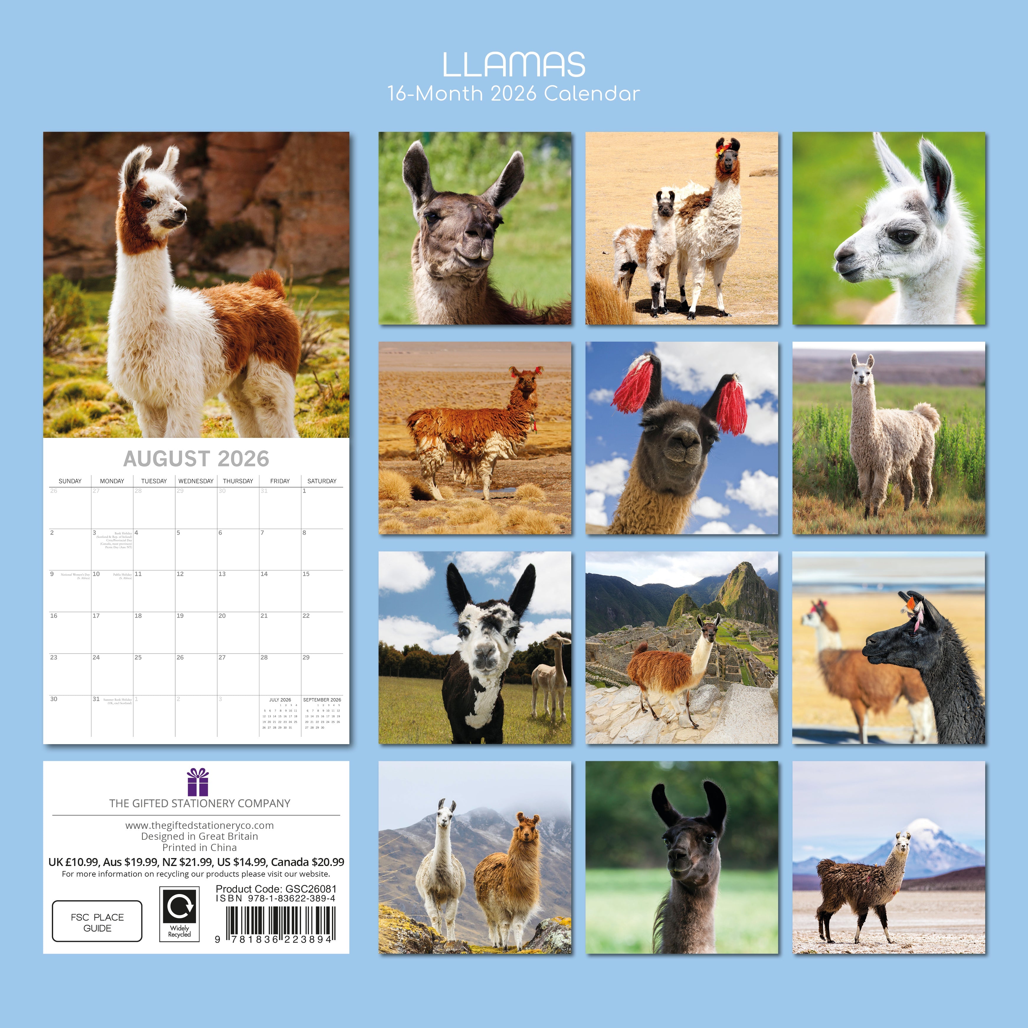 2026 Llamas - Square Wall Calendar