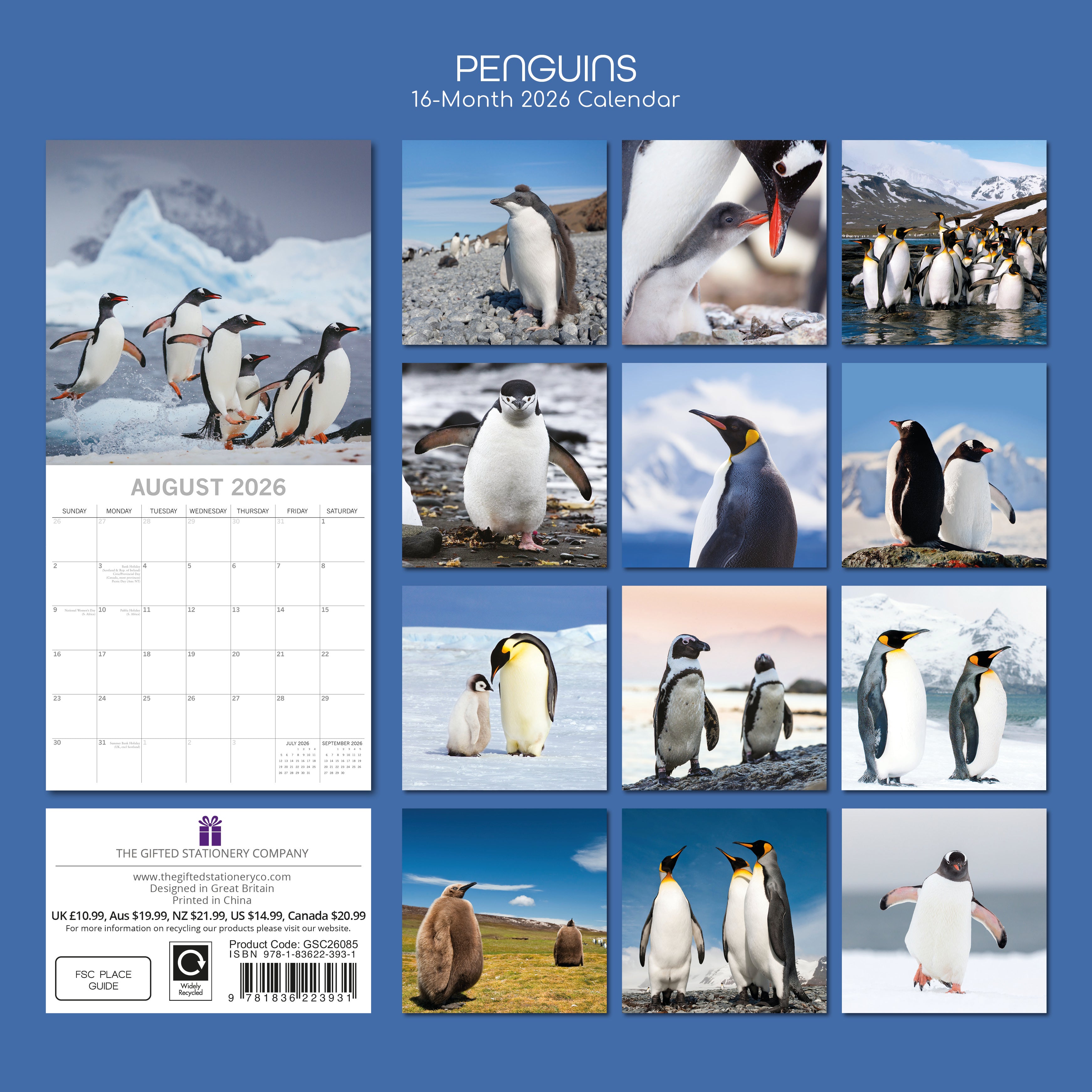 2026 Penguins - Square Wall Calendar