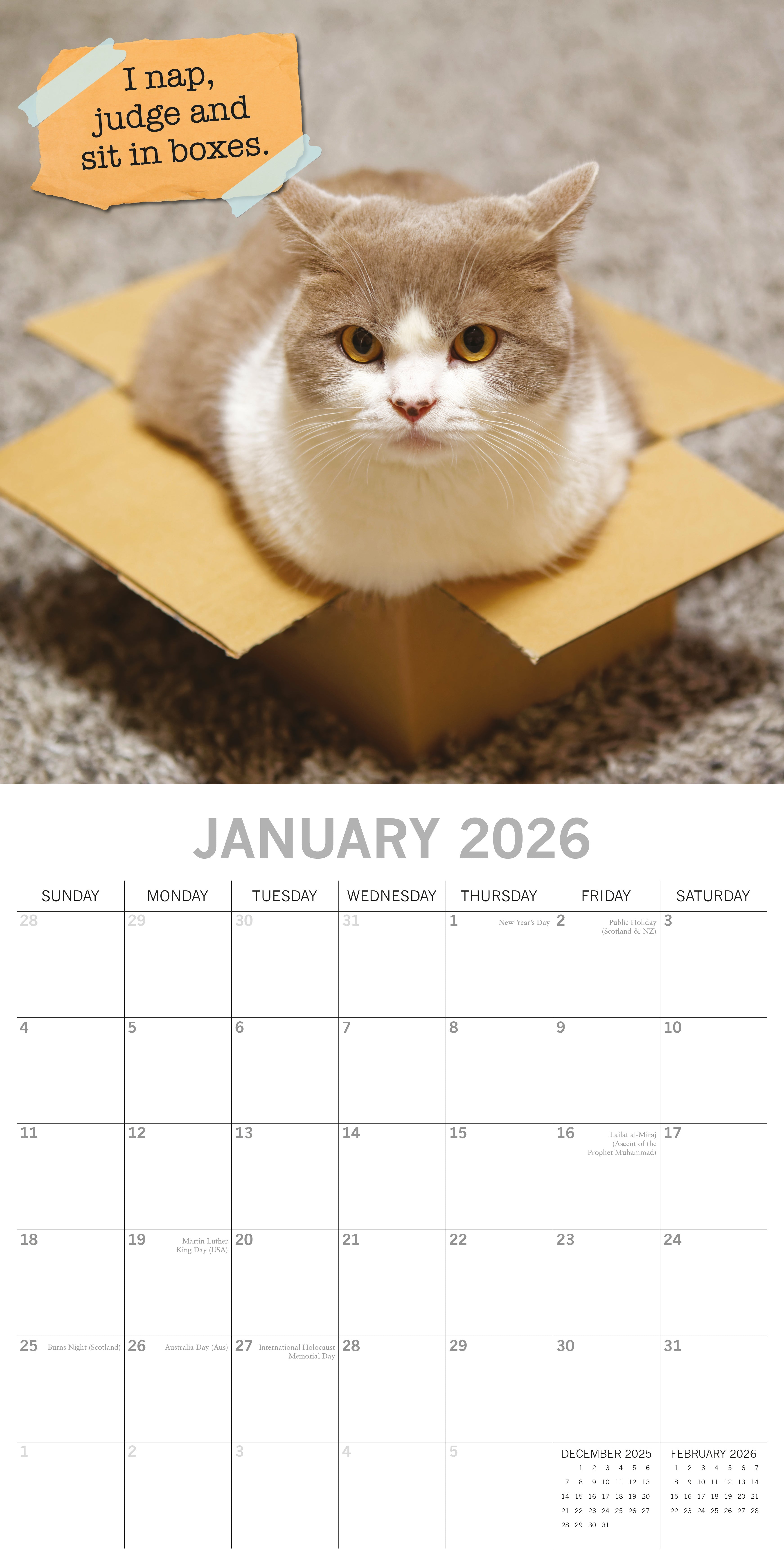 2026 Cat Shaming - Square Wall Calendar