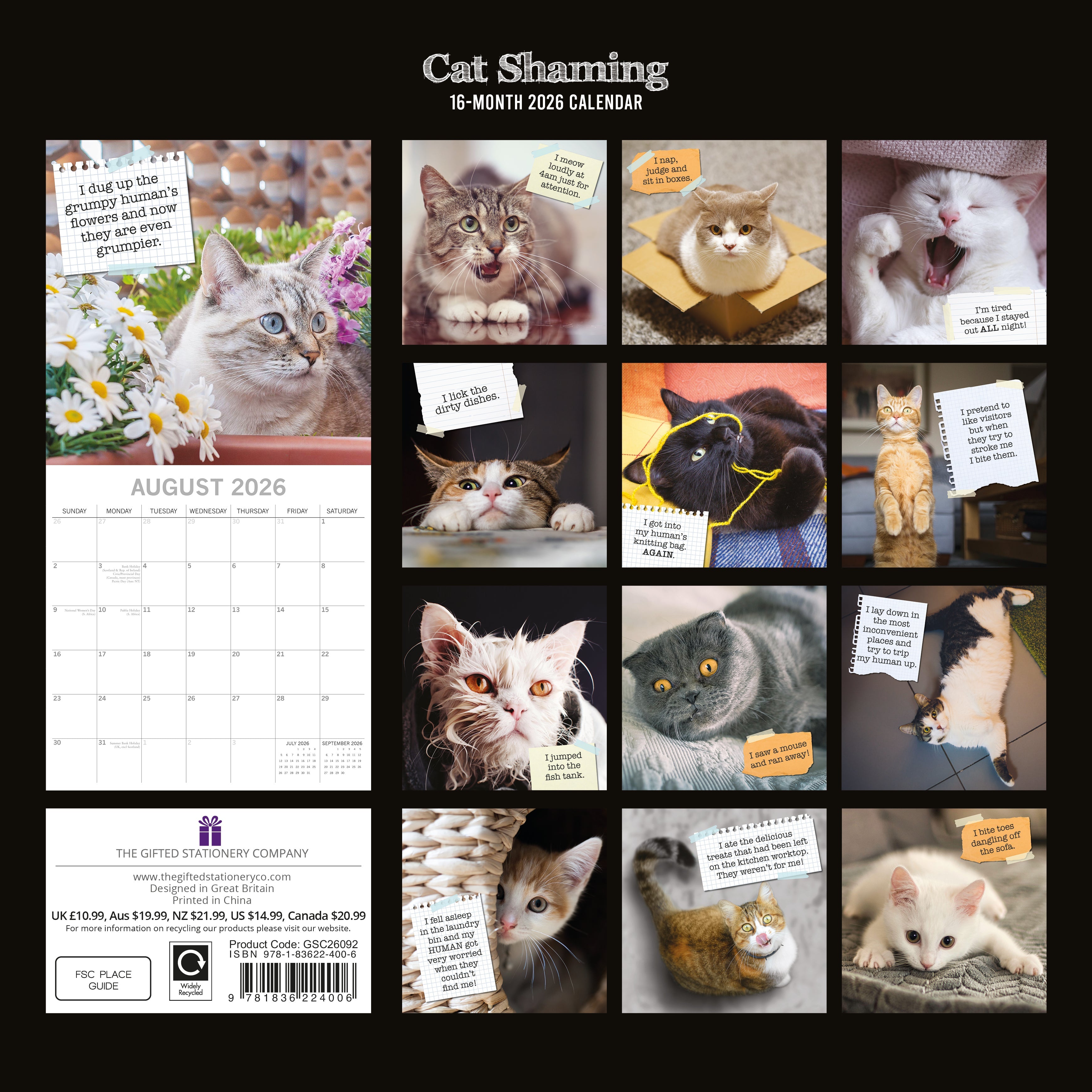 2026 Cat Shaming - Square Wall Calendar