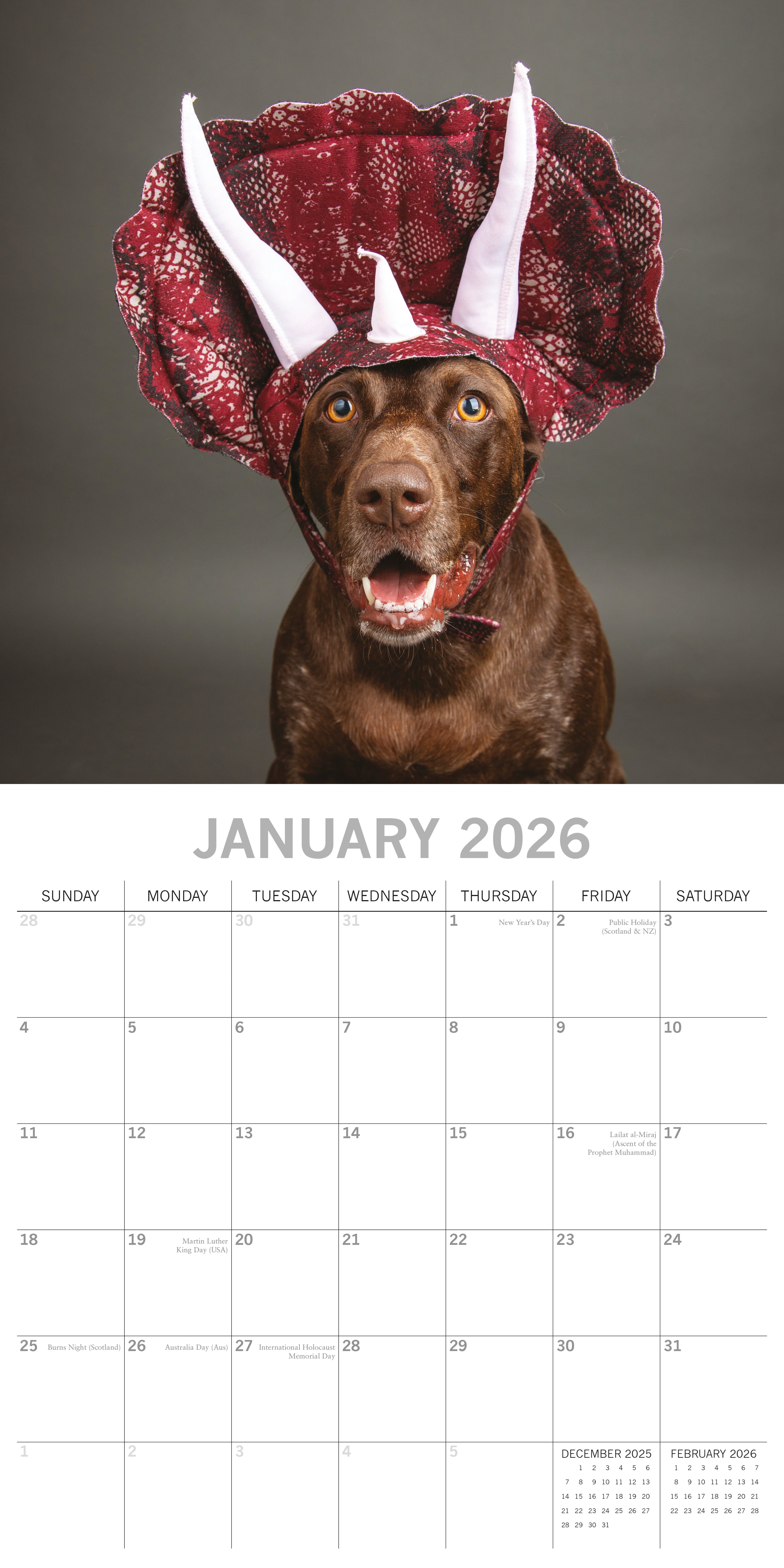 2026 Dogs as Animals - Square Wall Calendar