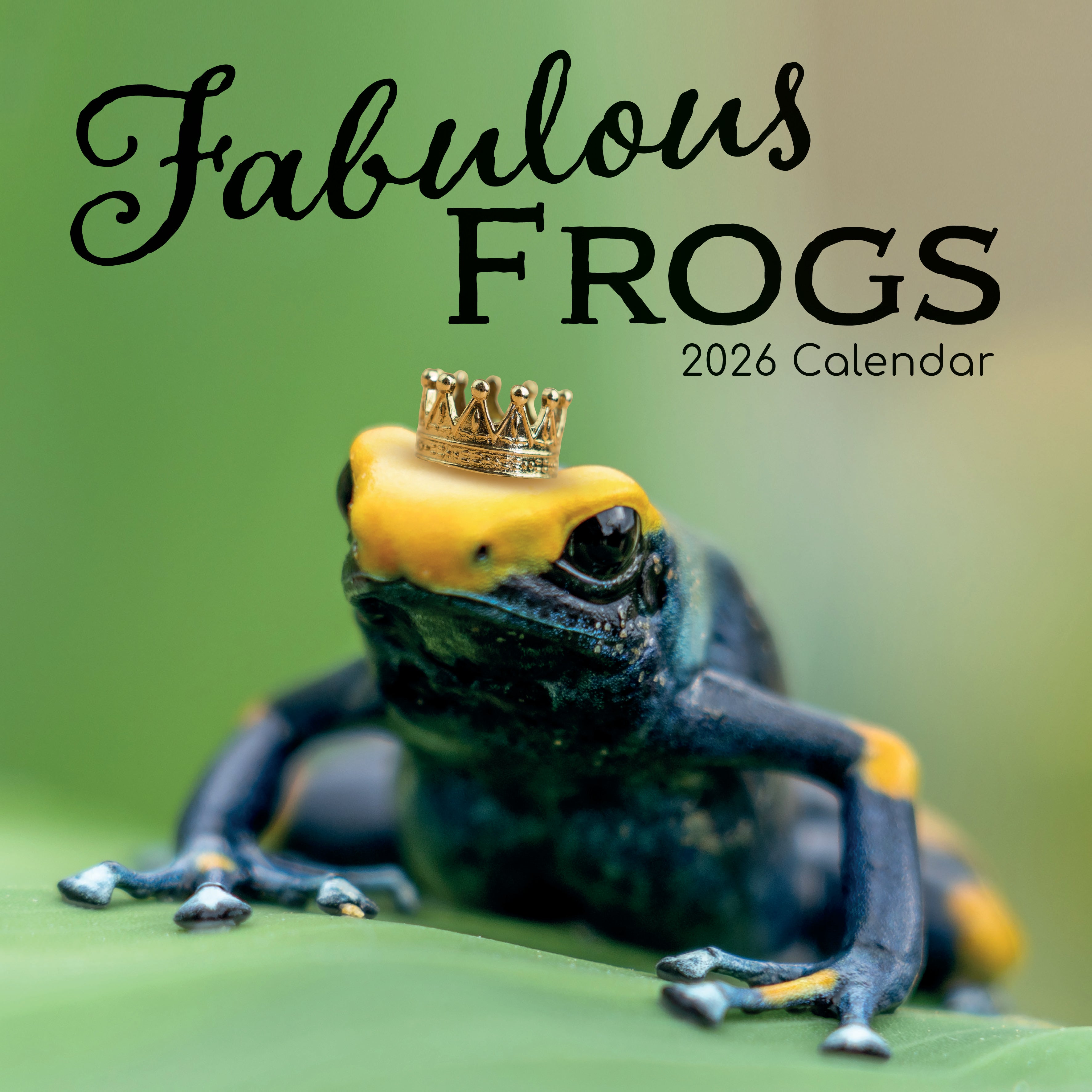 2026 Fabulous Frogs - Square Wall Calendar