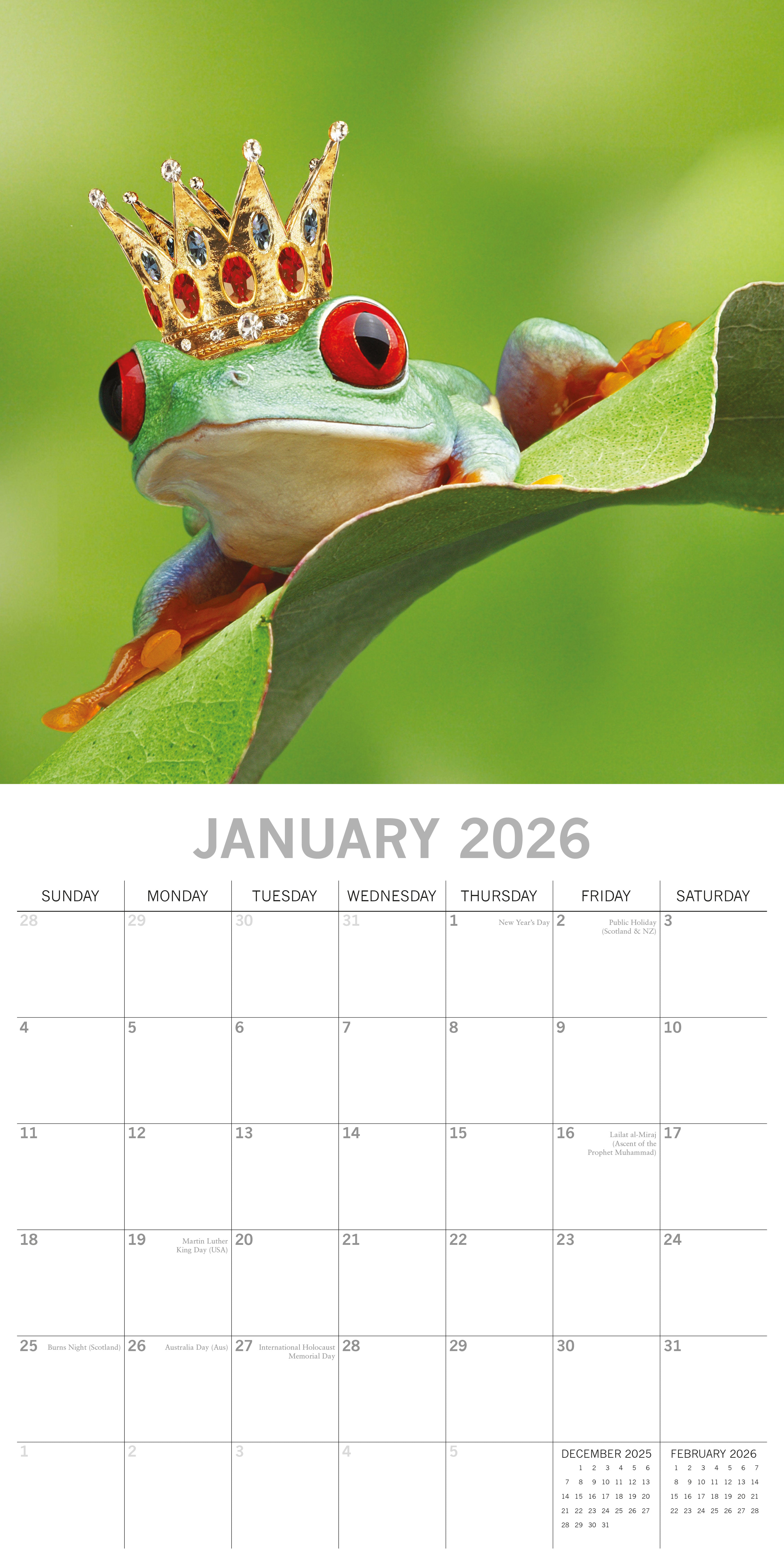 2026 Fabulous Frogs - Square Wall Calendar