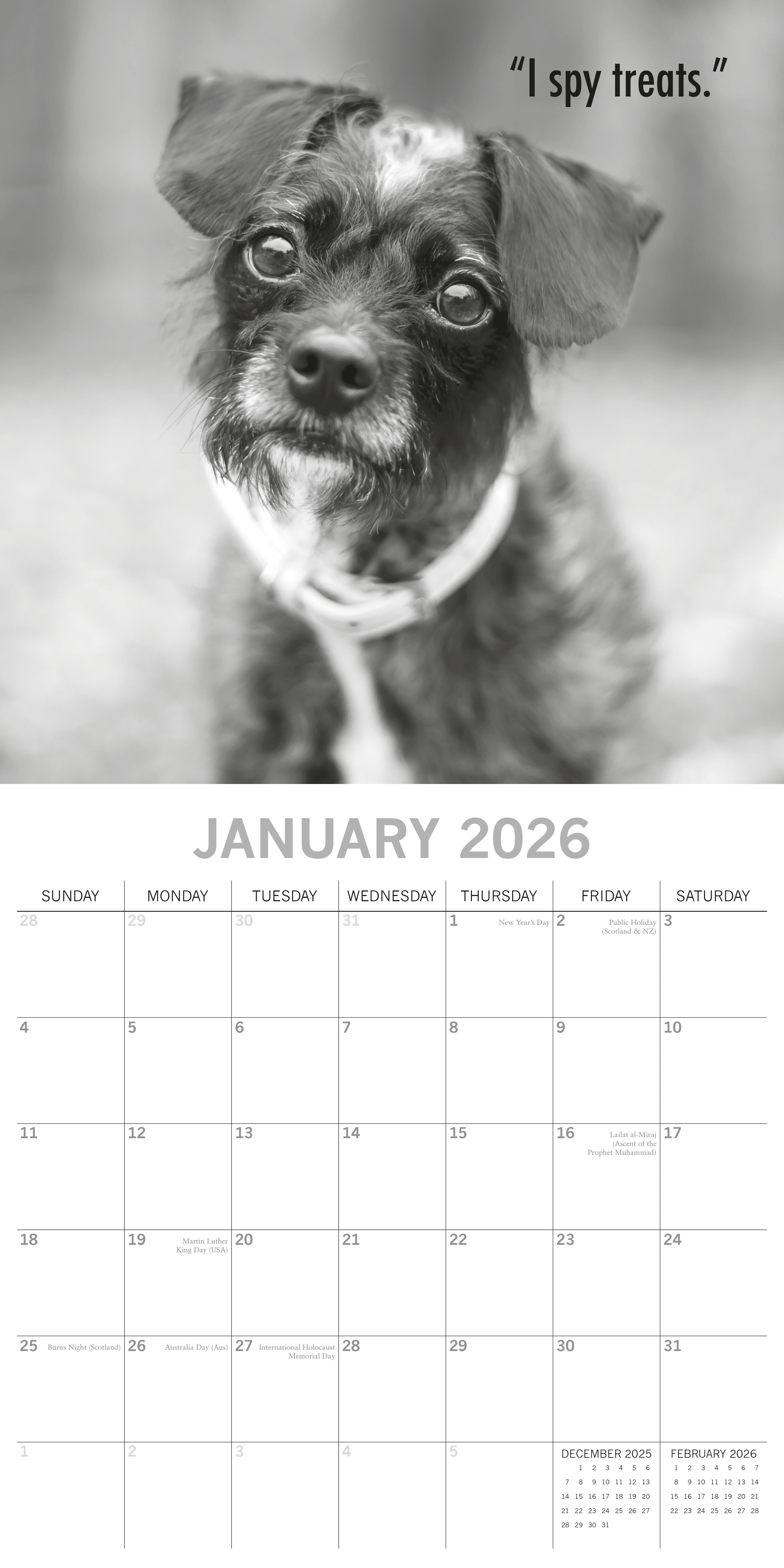 2026 Mutts - Square Wall Calendar