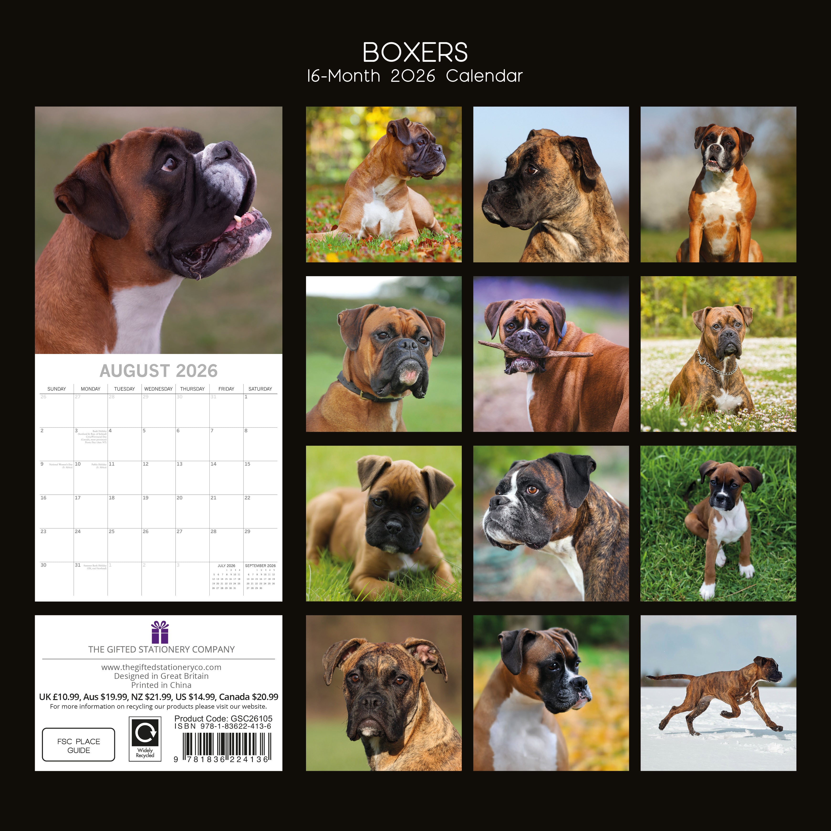 2026 Boxers - Square Wall Calendar
