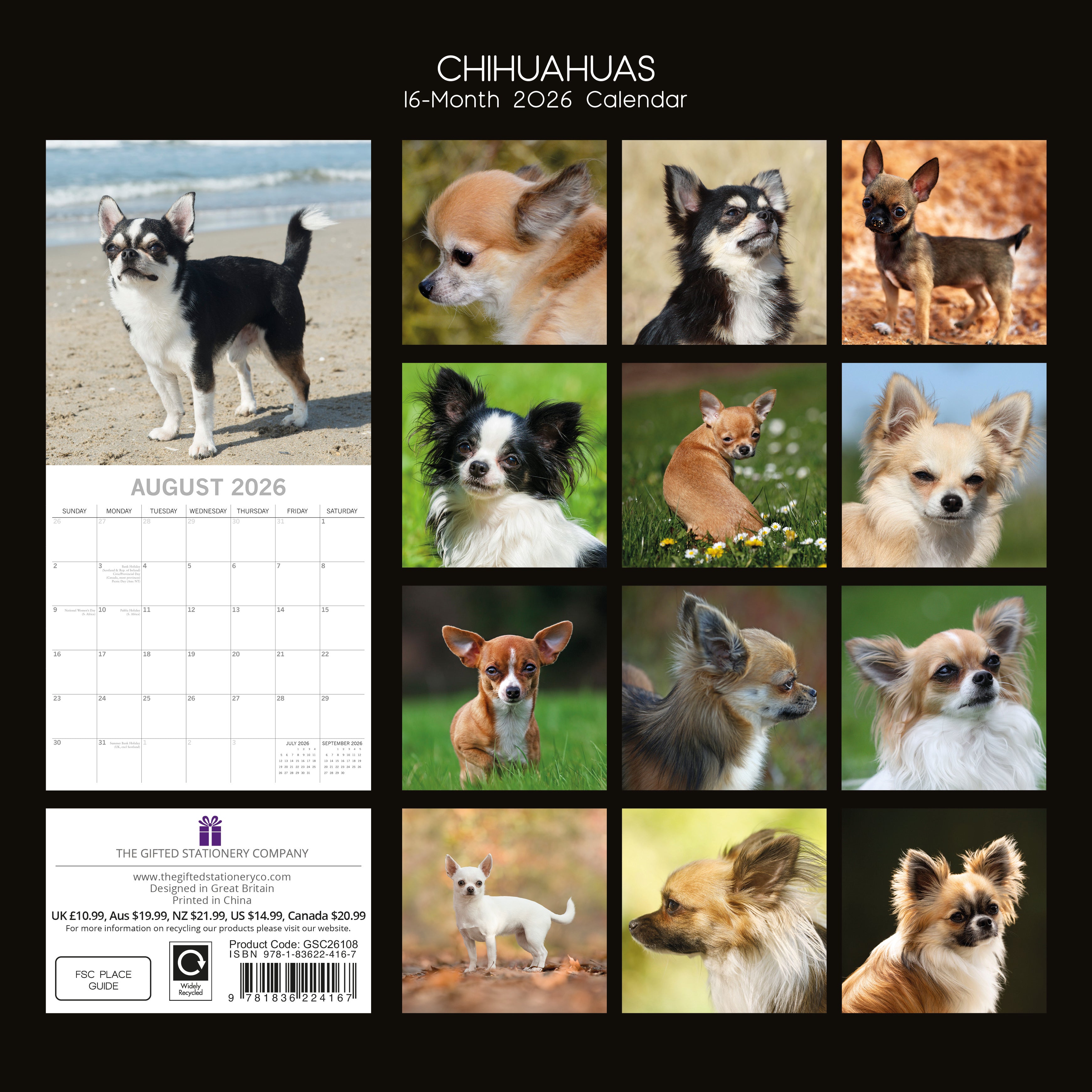 2026 Chihuahuas - Square Wall Calendar
