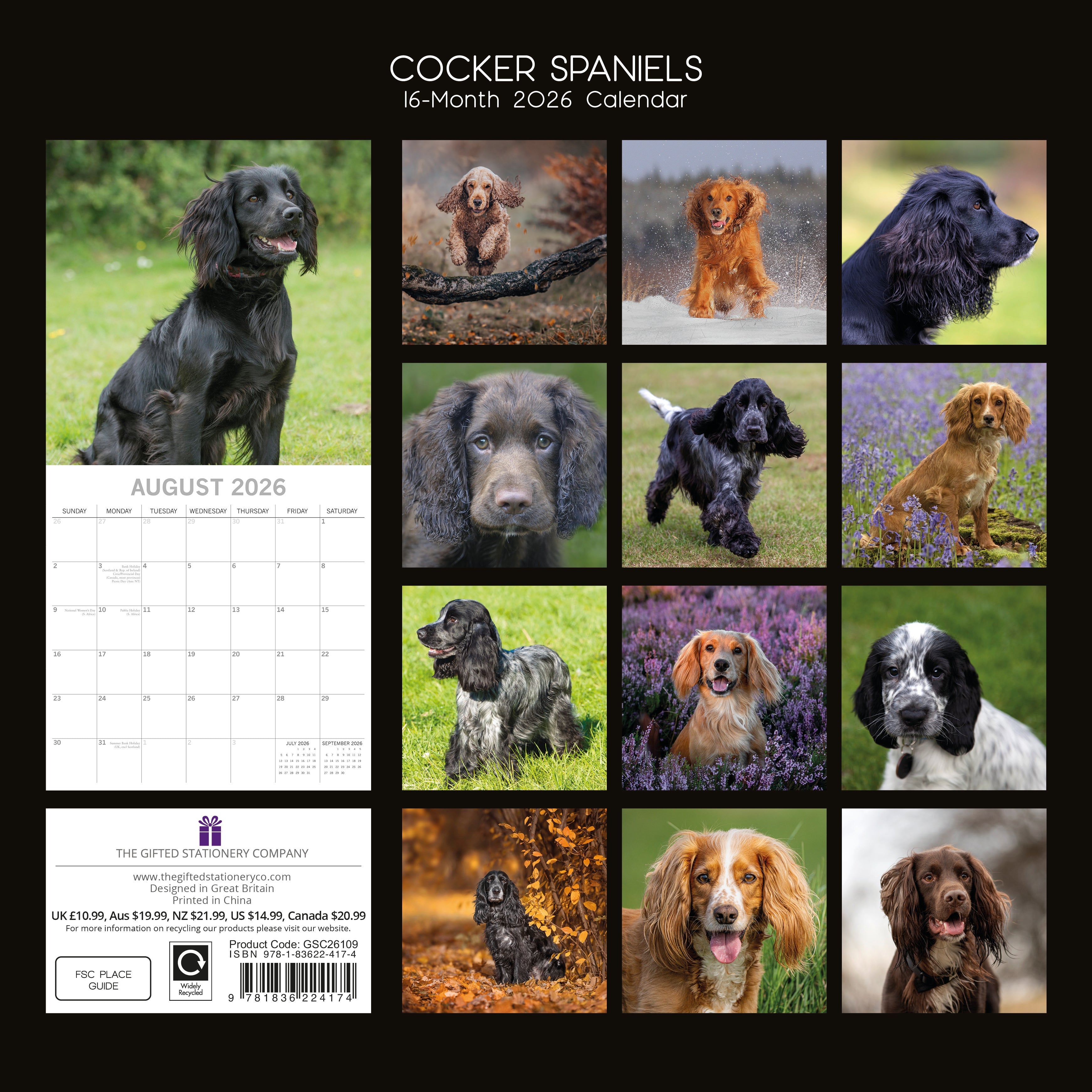 2026 Cocker Spaniels - Square Wall Calendar