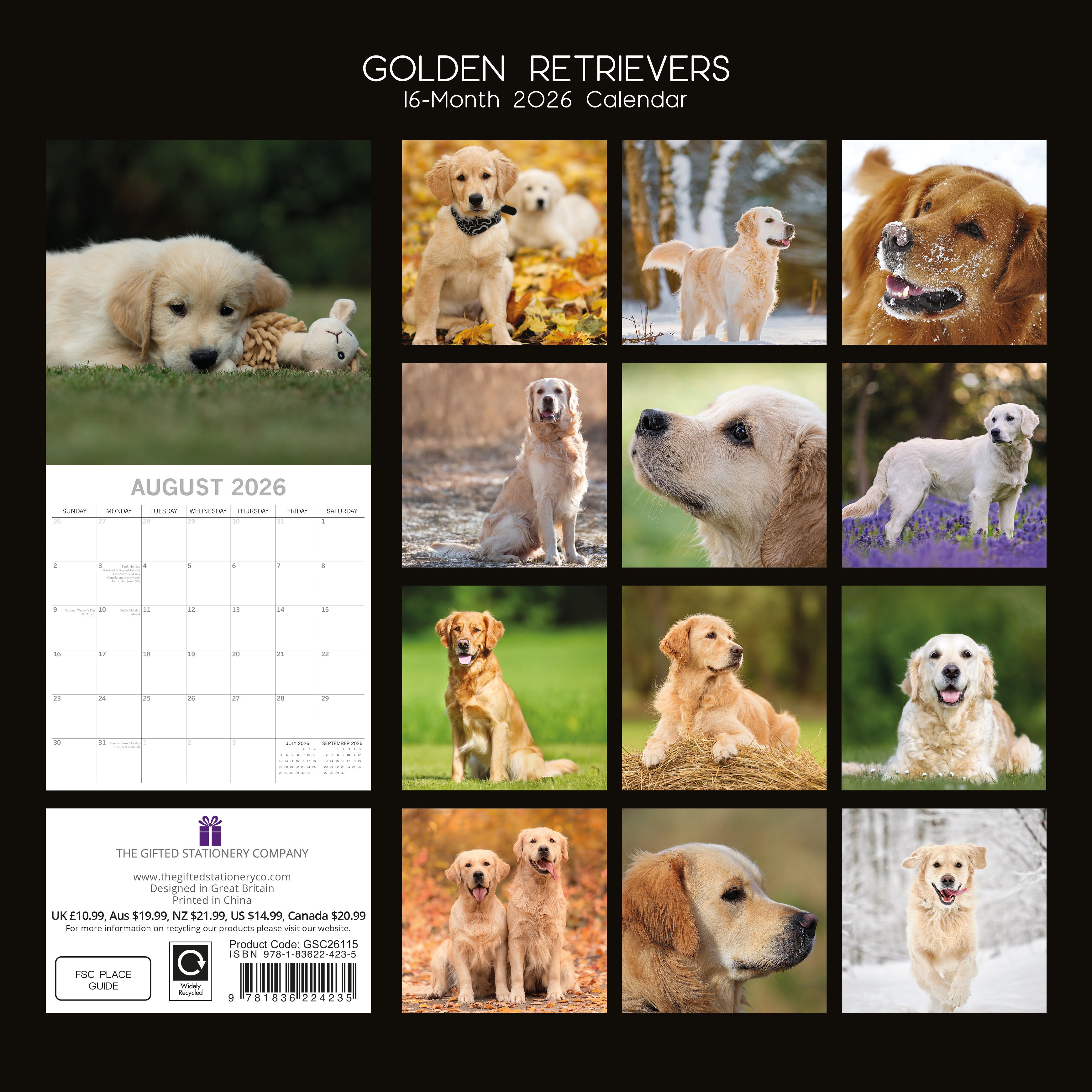 2026 Golden Retrievers - Square Wall Calendar
