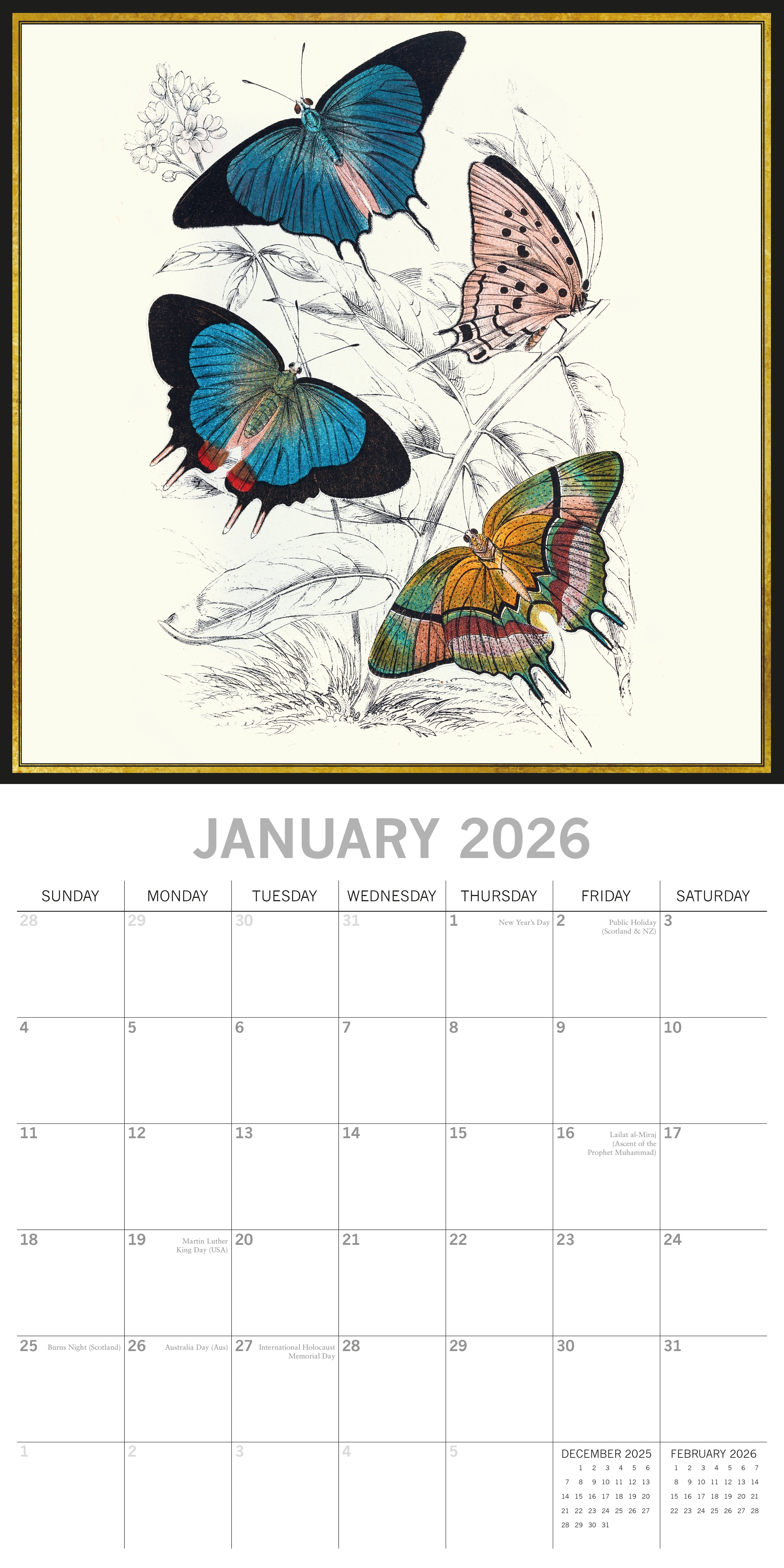 2026 Insects - Square Wall Calendar