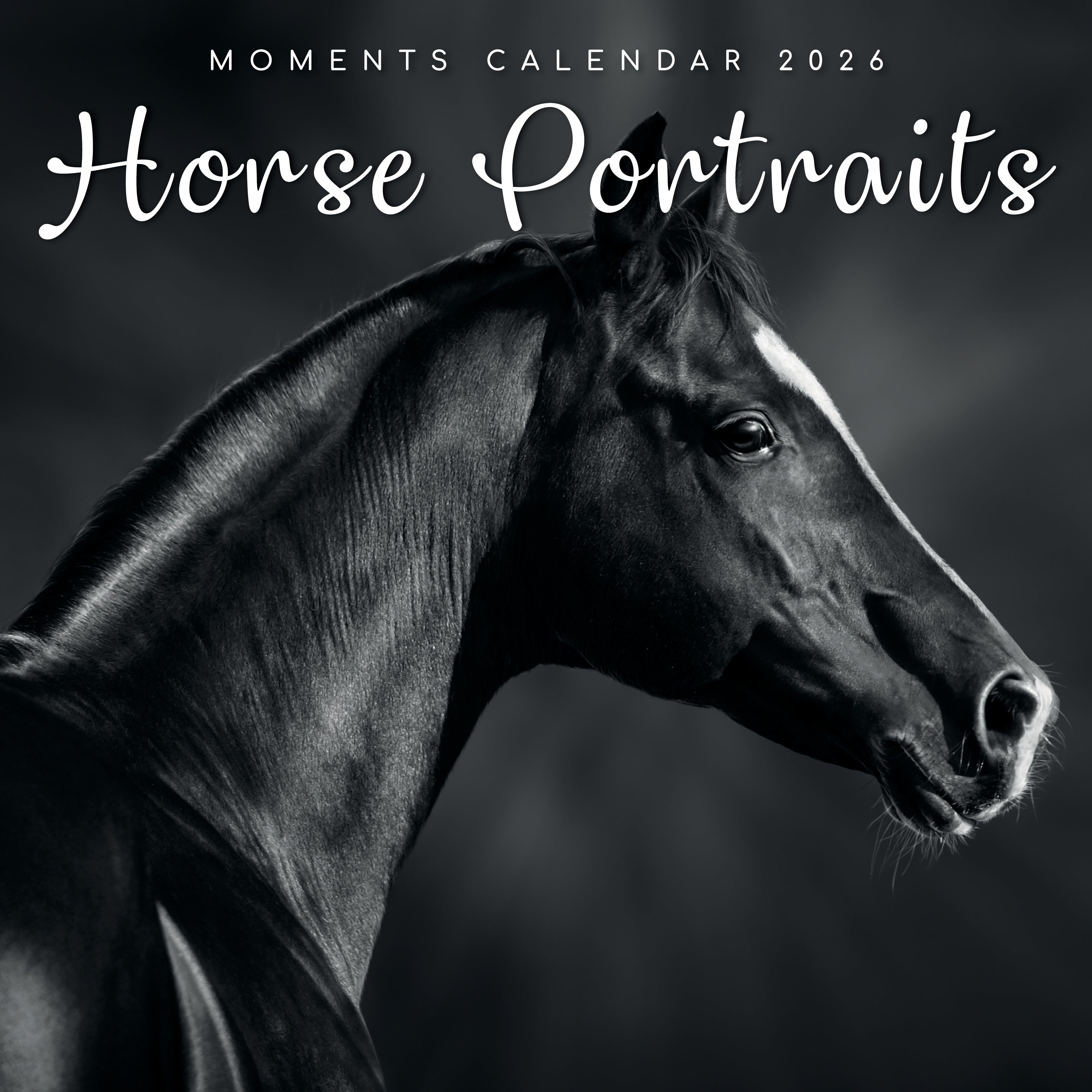 2026 Horse Portraits - Square Wall Calendar
