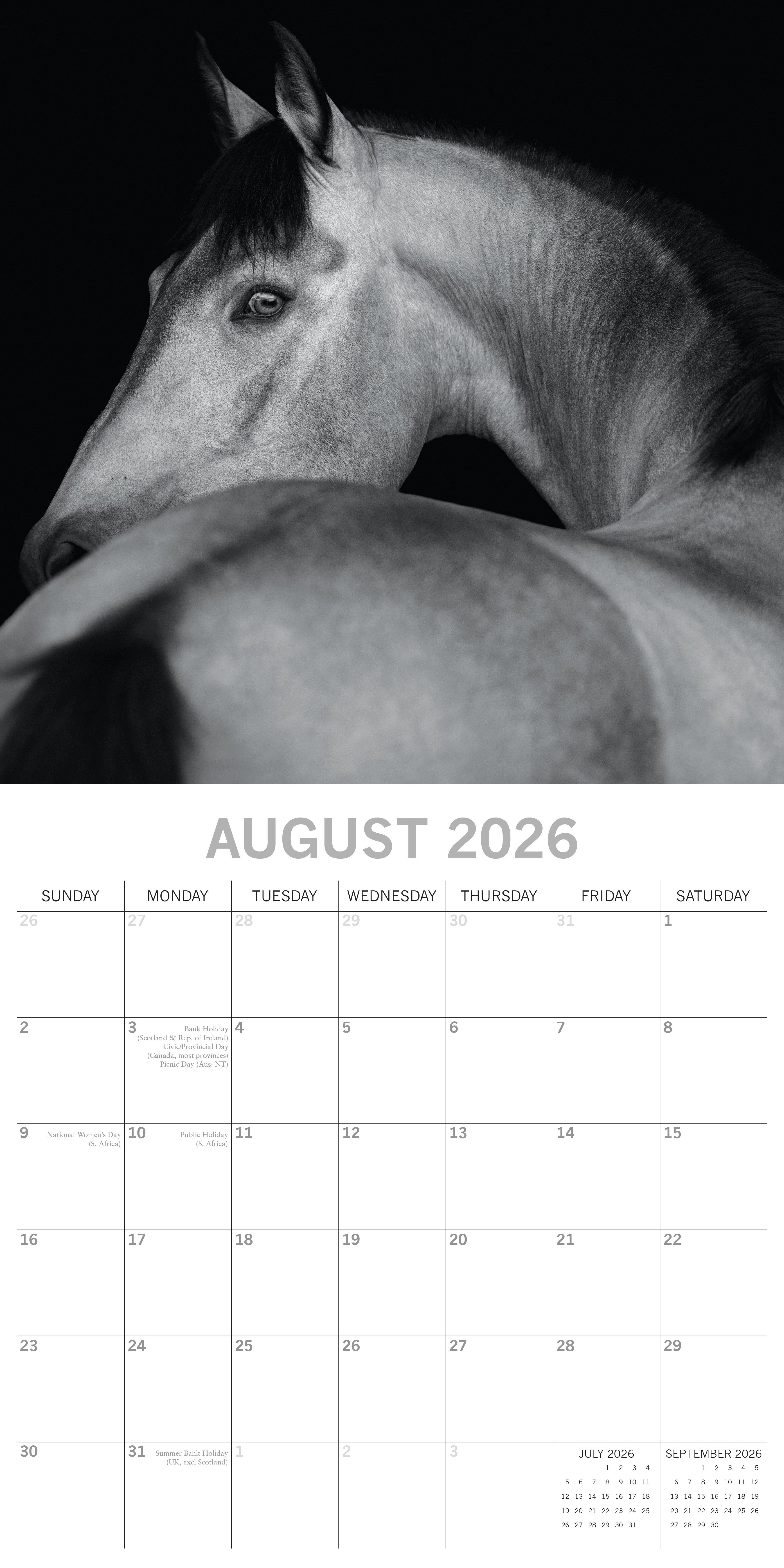 2026 Horse Portraits - Square Wall Calendar