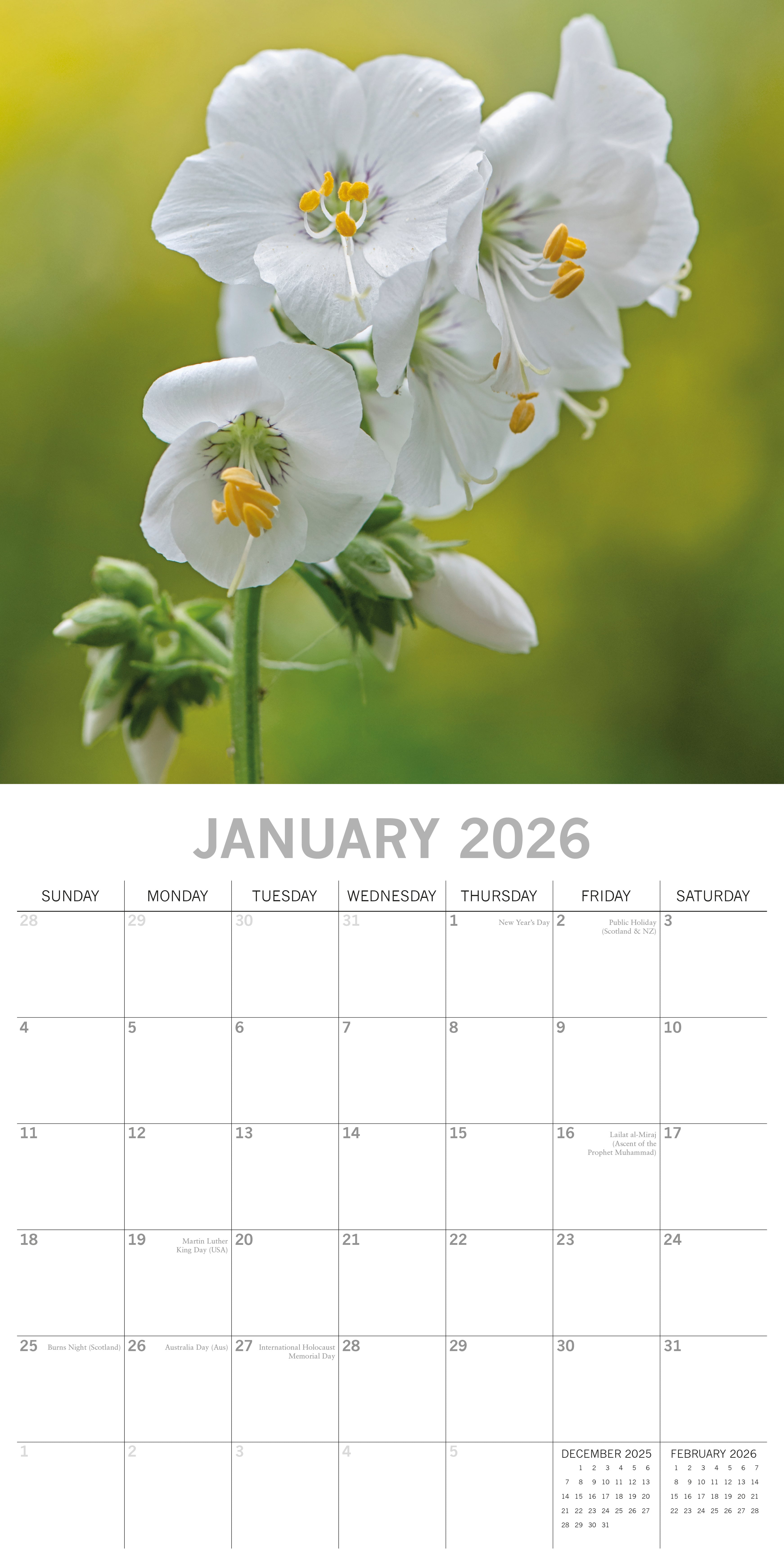 2026 Beauty of Flowers - Square Wall Calendar