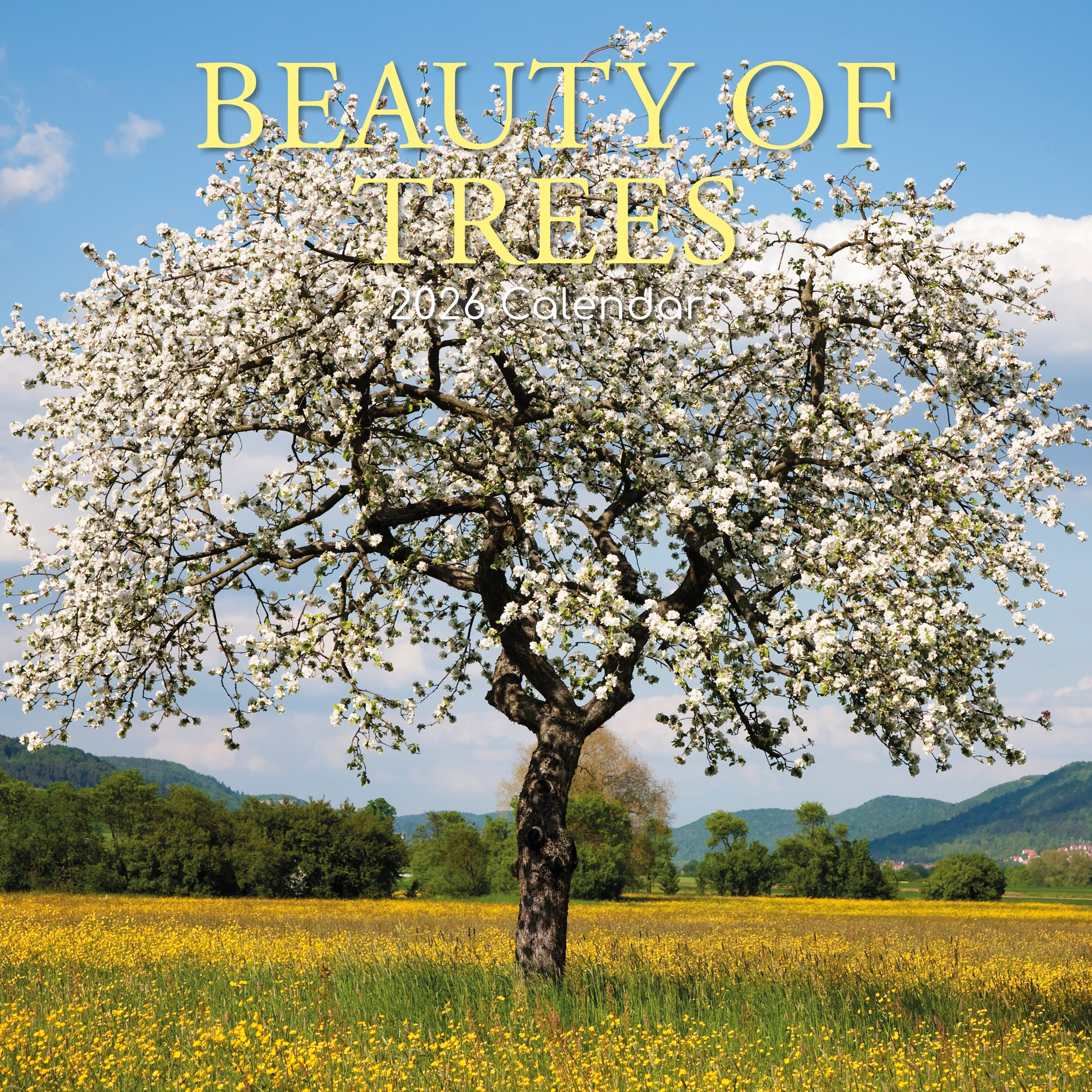 2026 Beauty of Trees - Square Wall Calendar