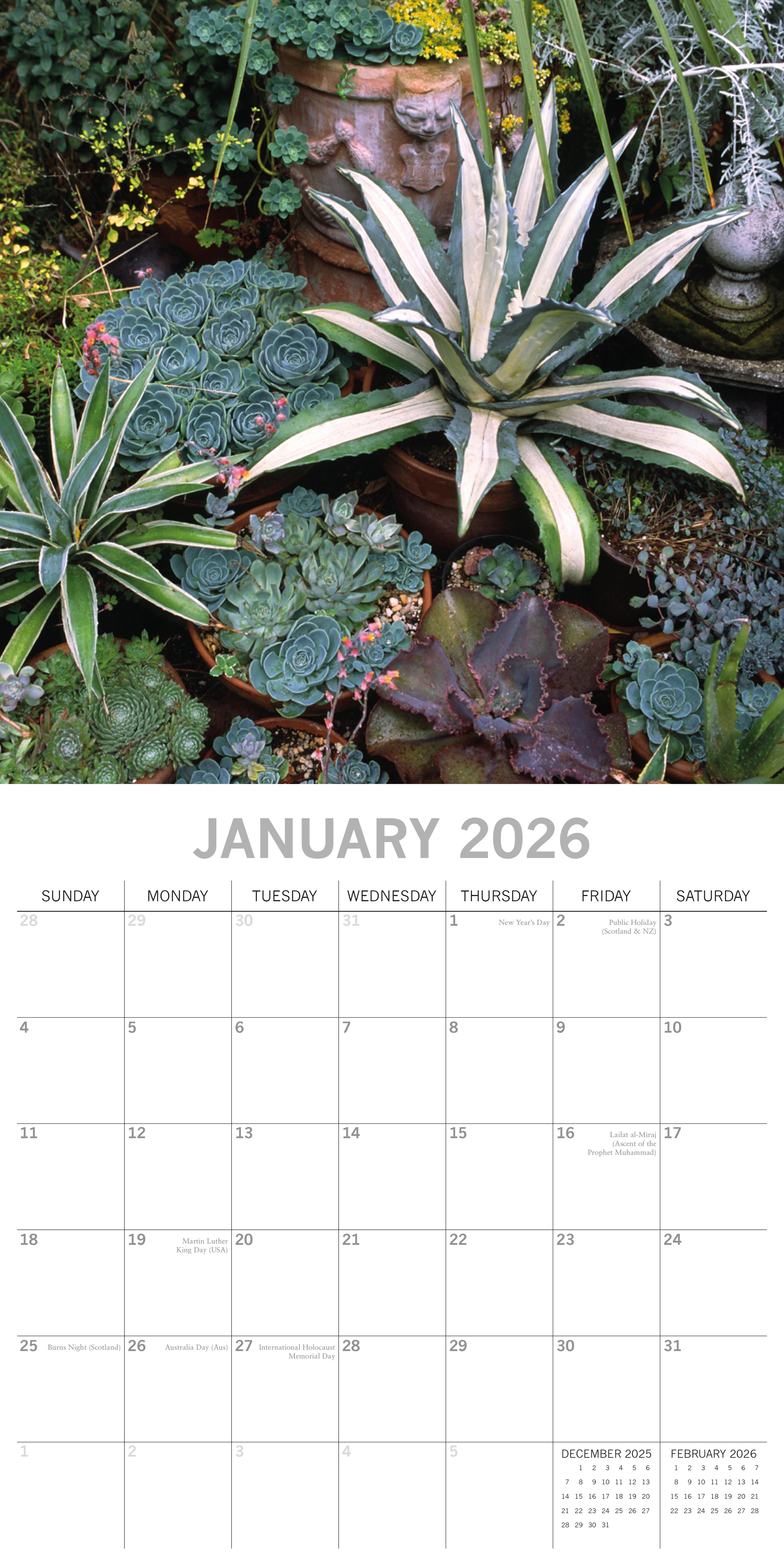 2026 Cacti & Succulents - Square Wall Calendar