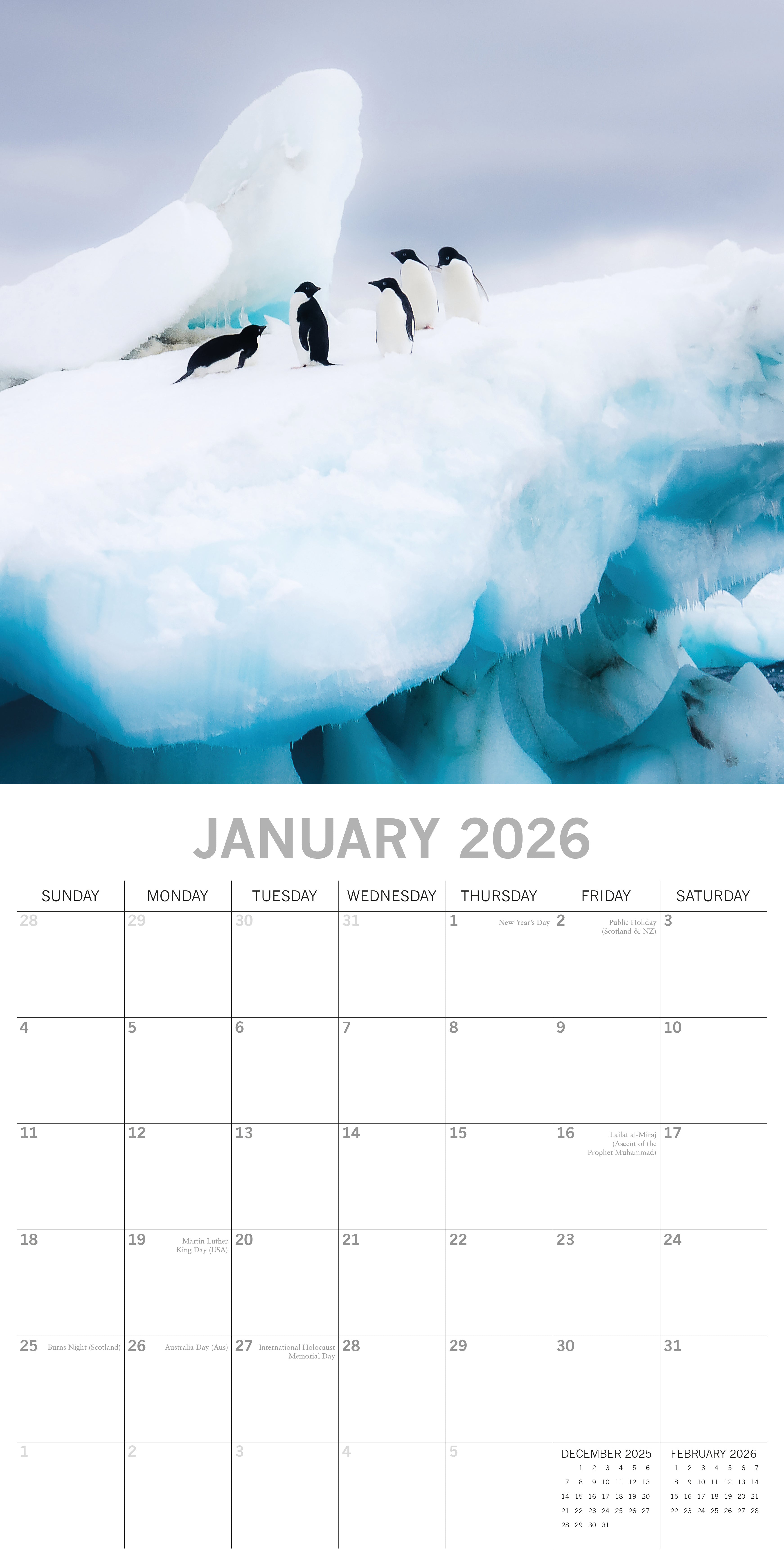 2026 Antarctica - Square Wall Calendar