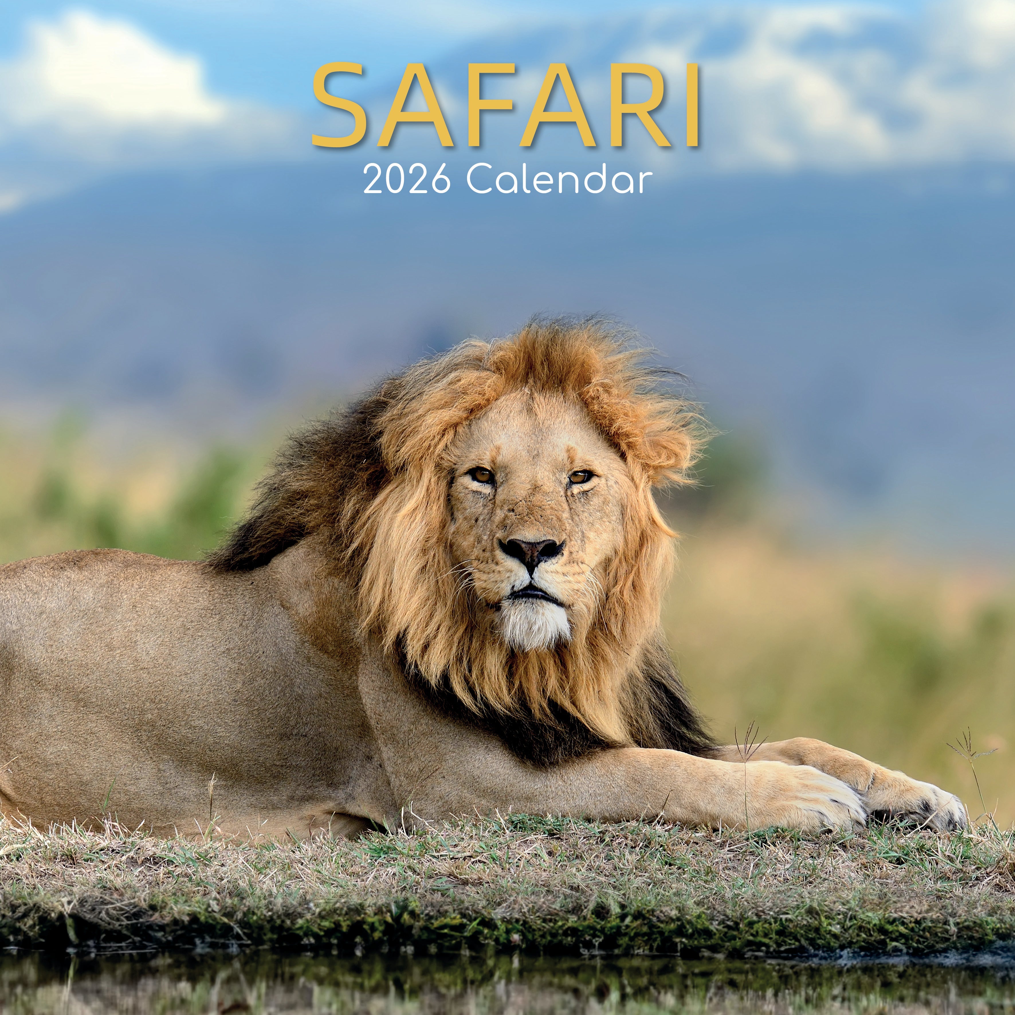 2026 Safari - Square Wall Calendar