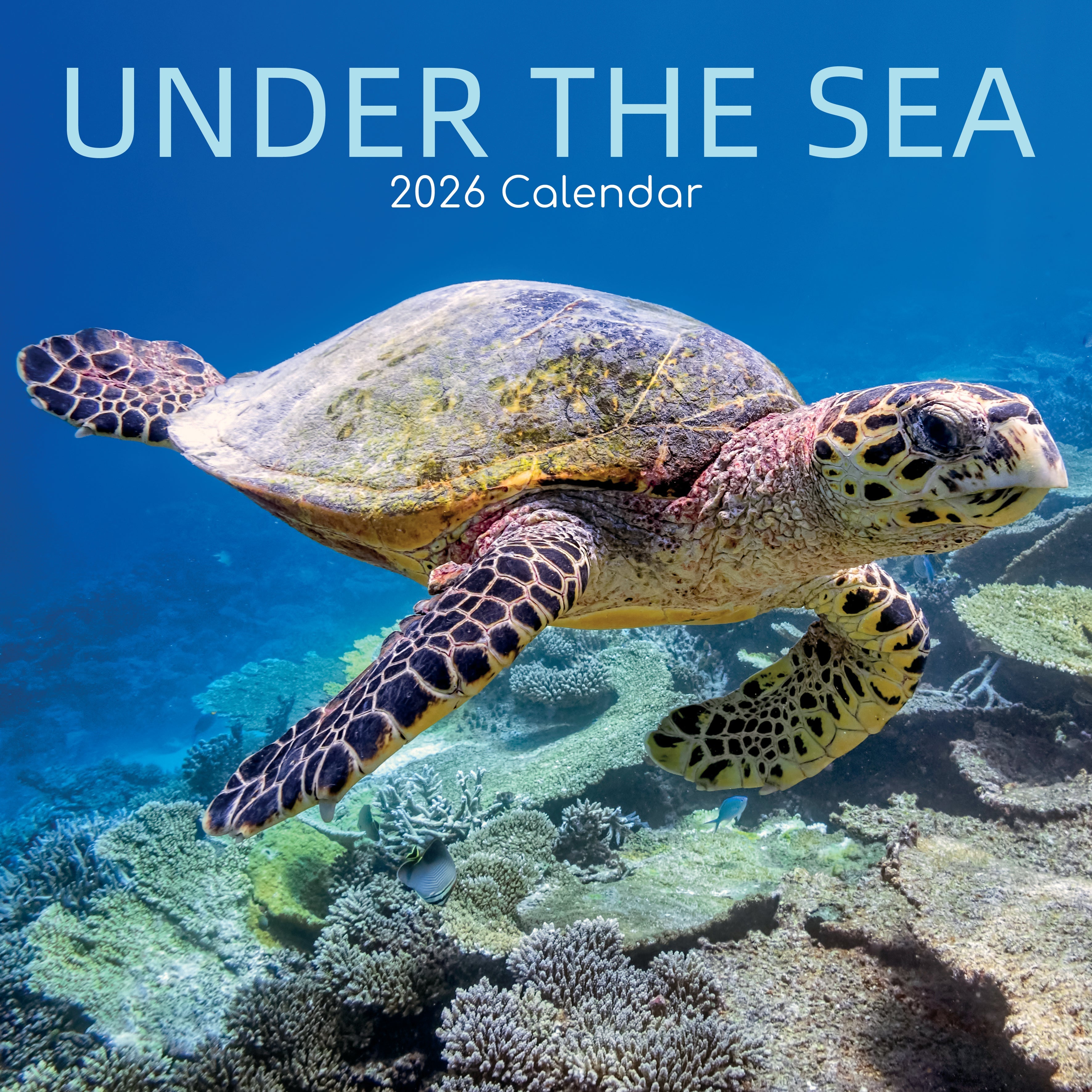 2026 Under the Sea - Square Wall Calendar