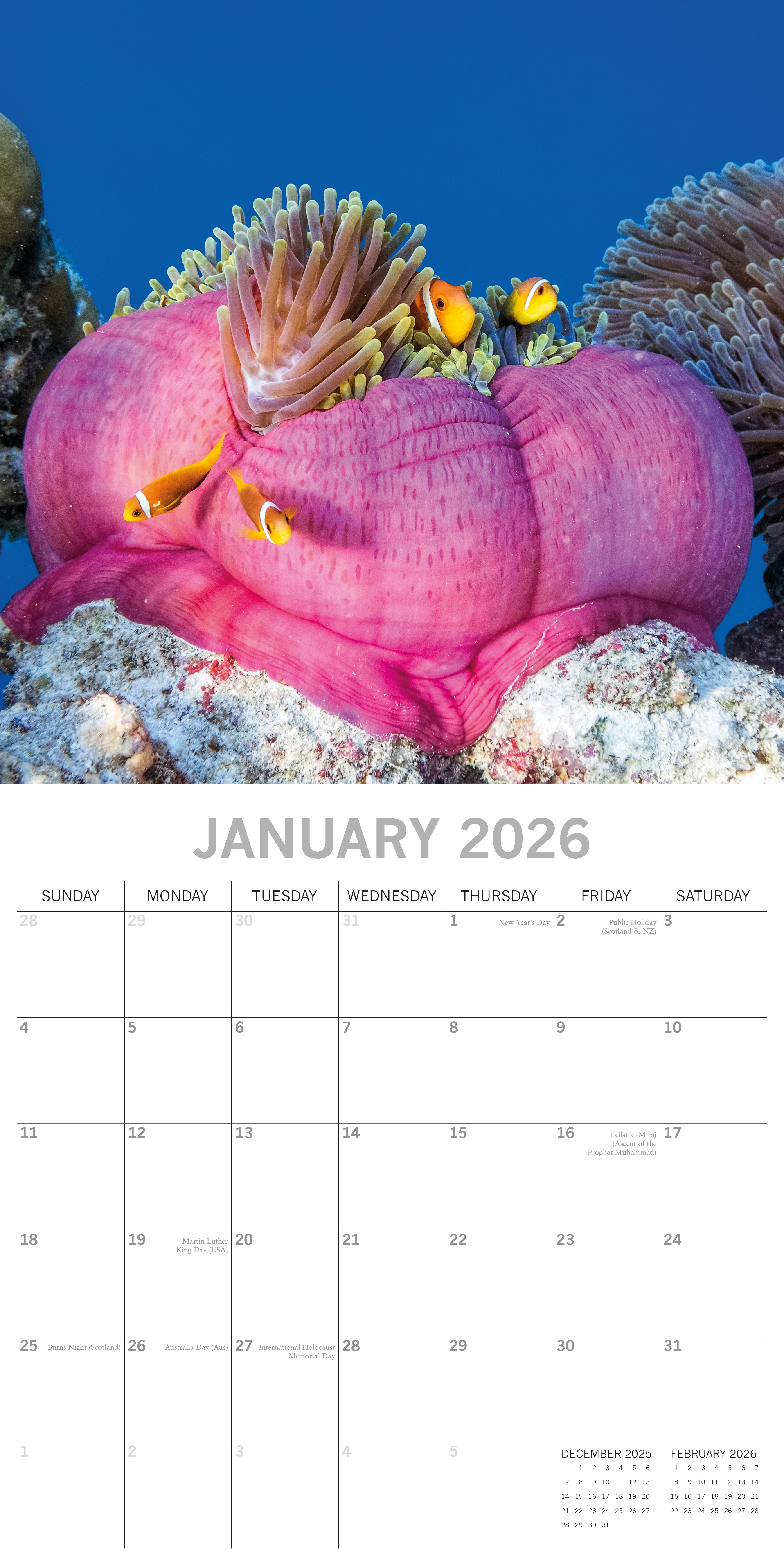 2026 Under the Sea - Square Wall Calendar