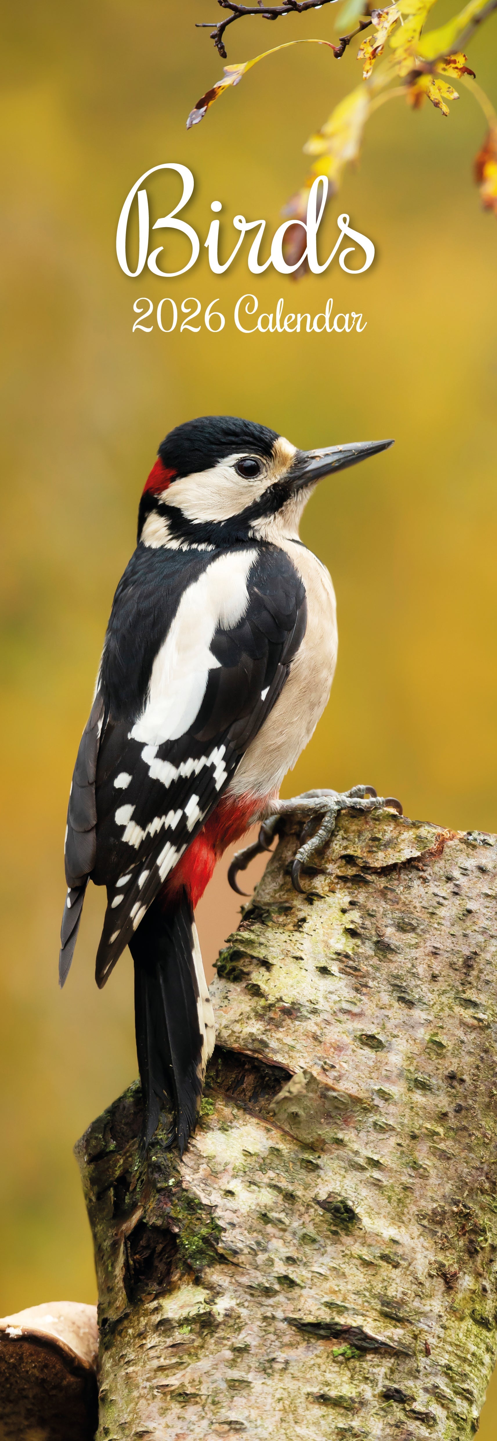 2026 Birds - Slim Wall Calendar