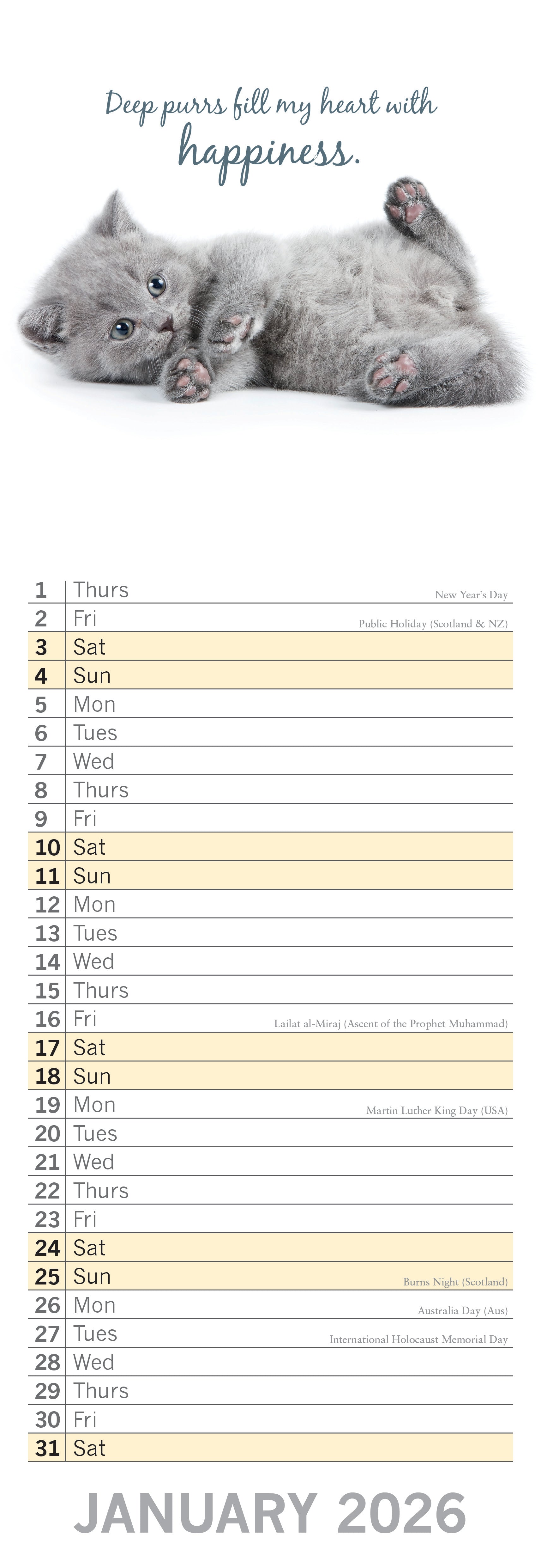 2026 Cute Kittens - Slim Wall Calendar