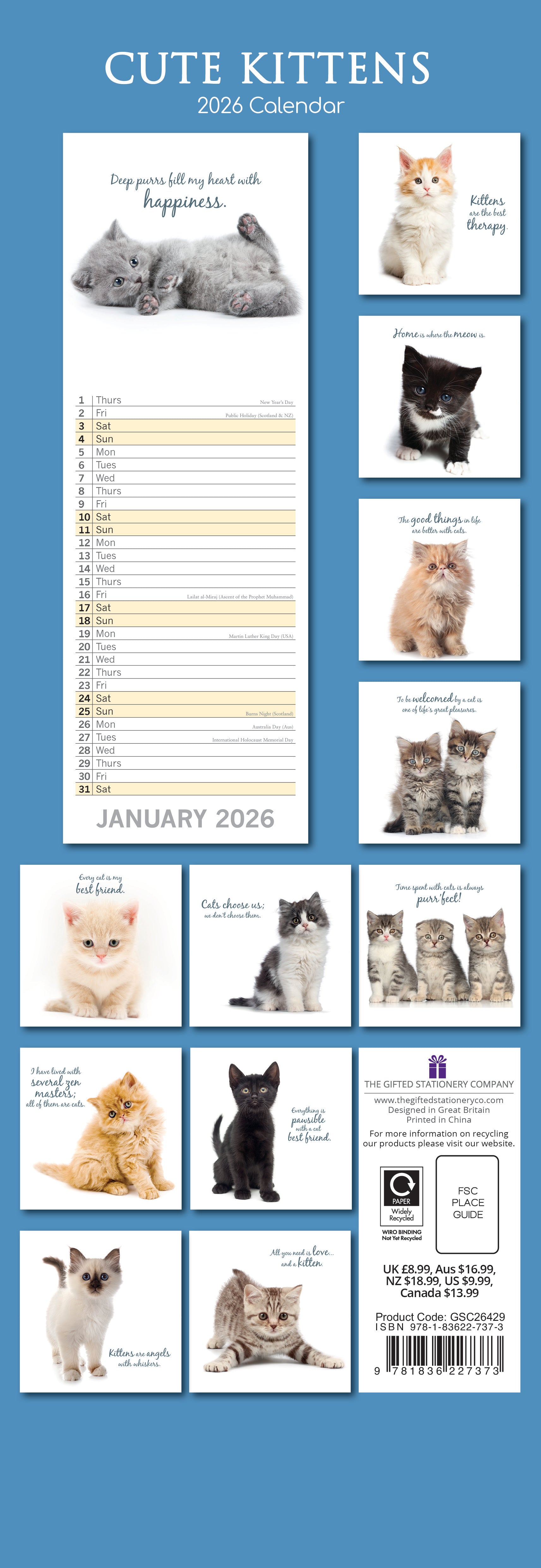 2026 Cute Kittens - Slim Wall Calendar