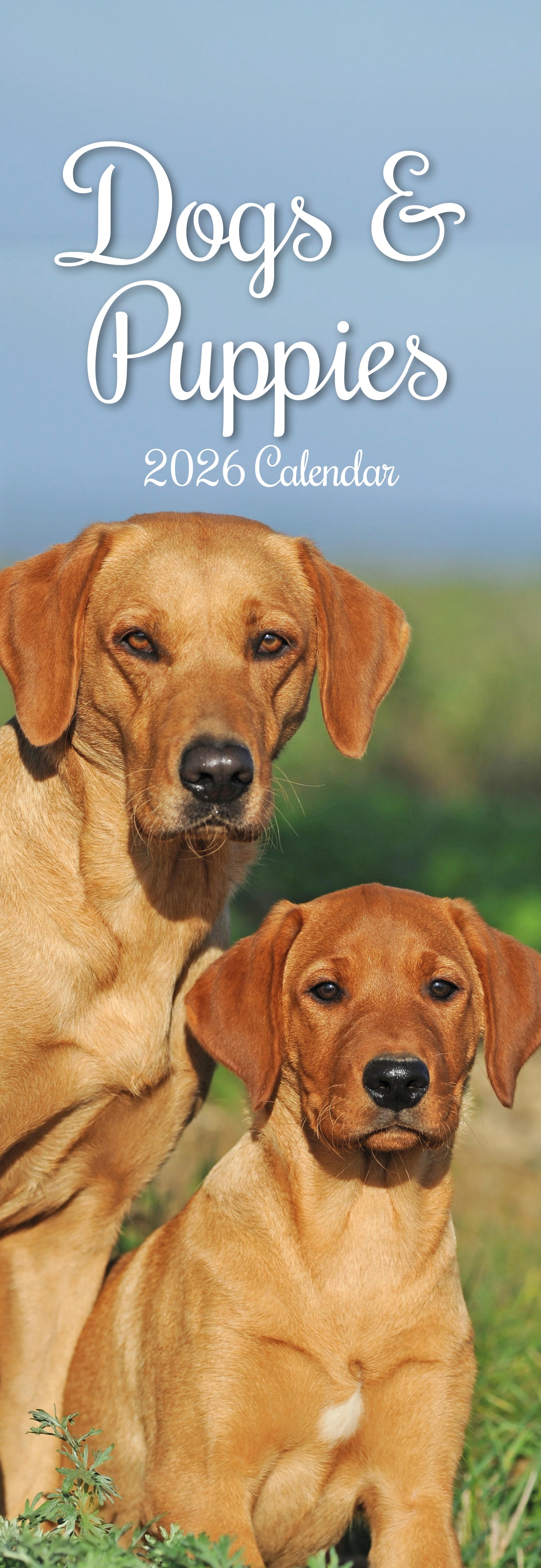 2026 Dogs & Puppies - Slim Wall Calendar