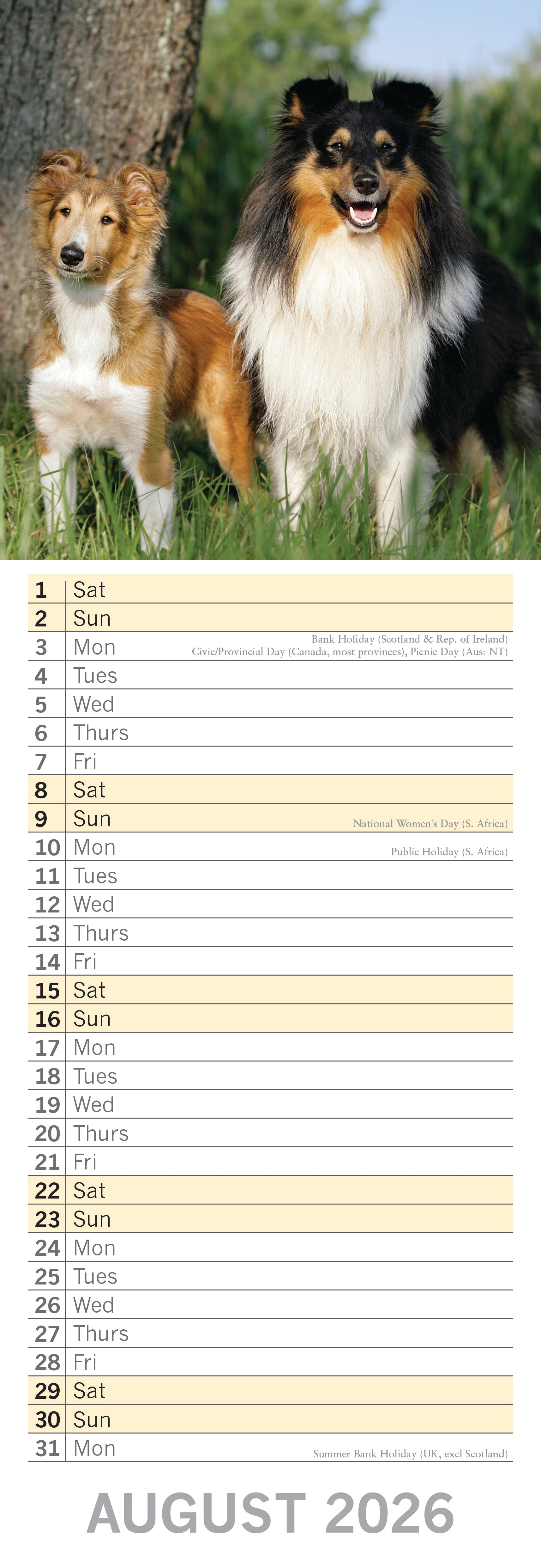 2026 Dogs & Puppies - Slim Wall Calendar