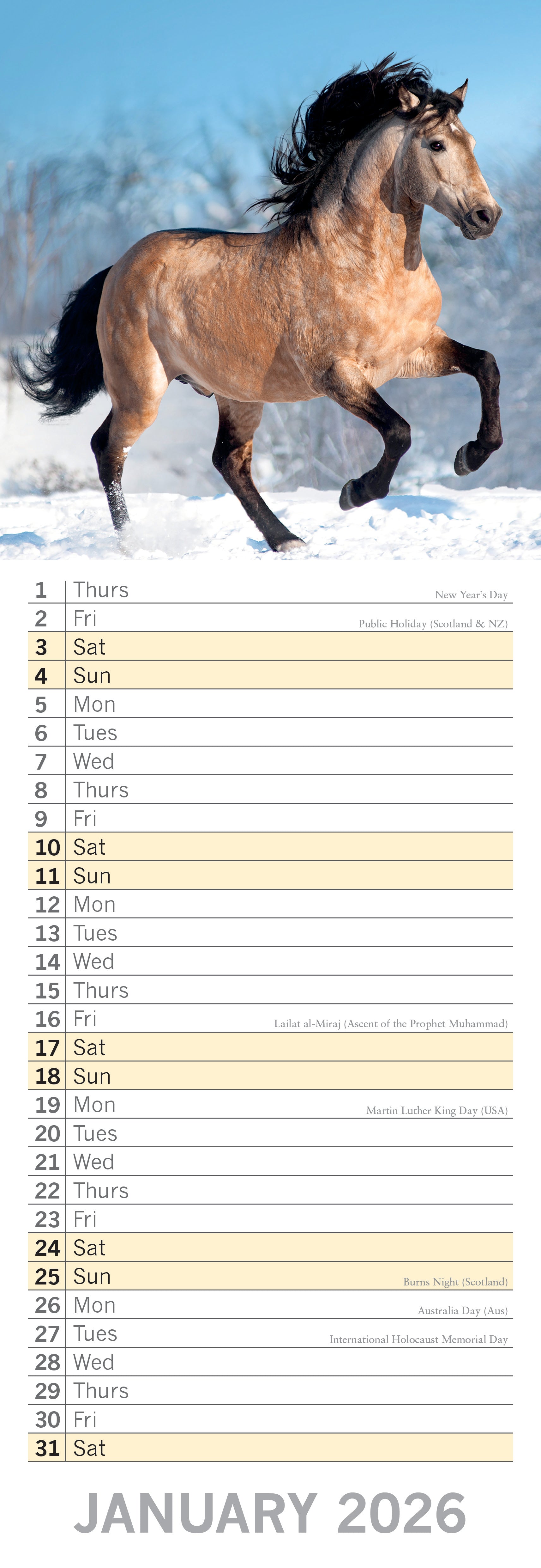 2026 Horses - Slim Wall Calendar