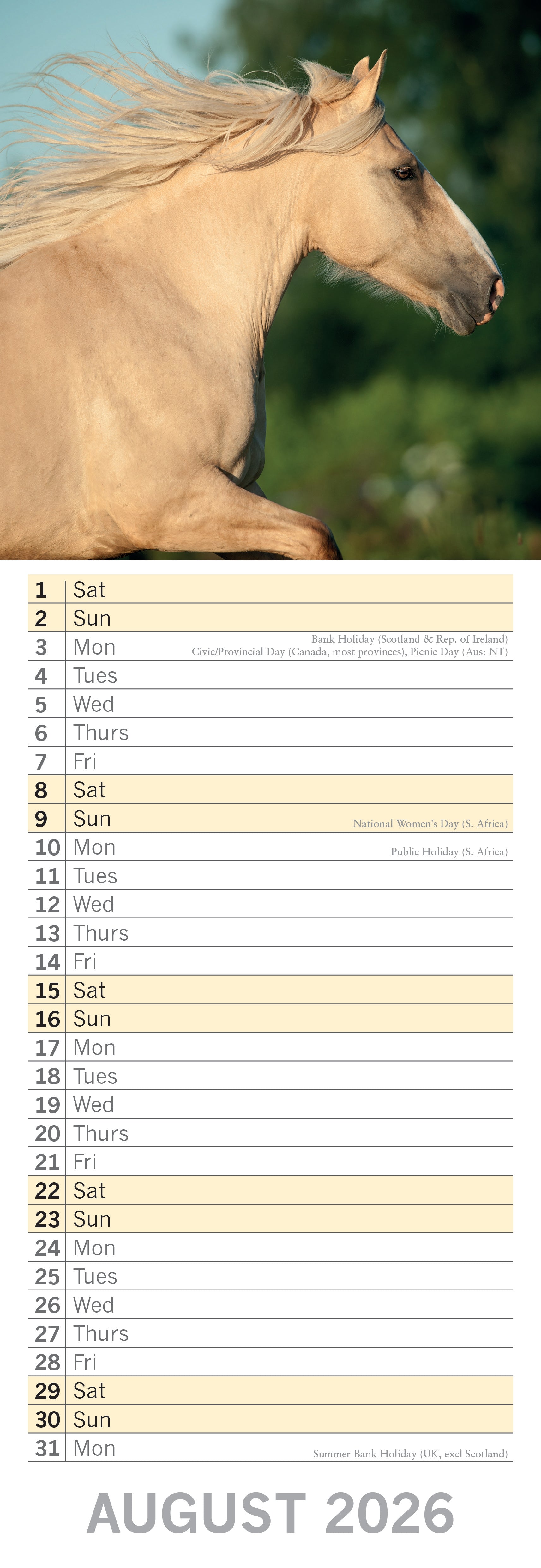 2026 Horses - Slim Wall Calendar