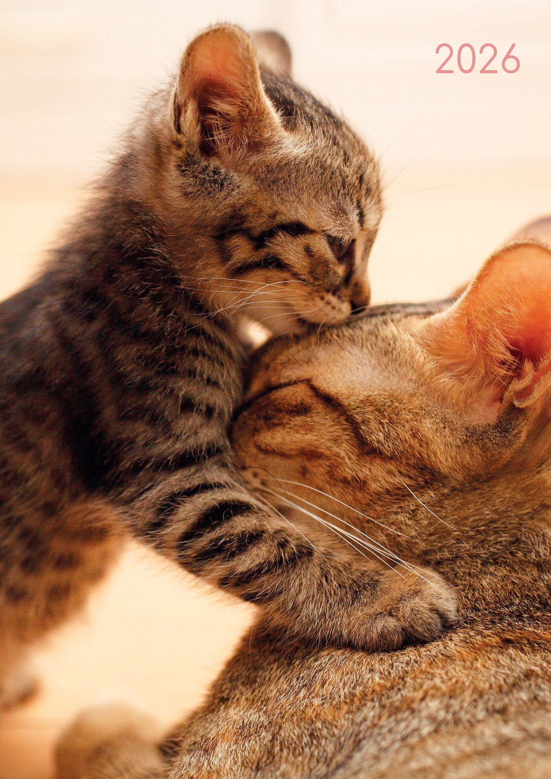 2026 Cats & Kittens - Weekly Diary/Planner