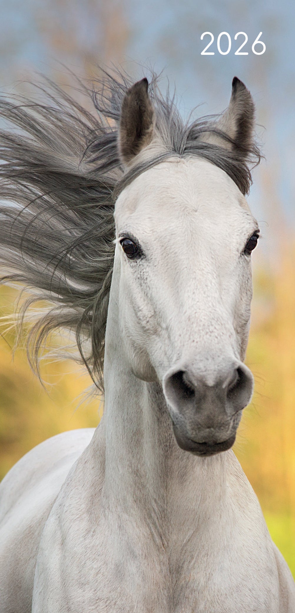 2026 Horses - Weekly Pocket Diary/Planner