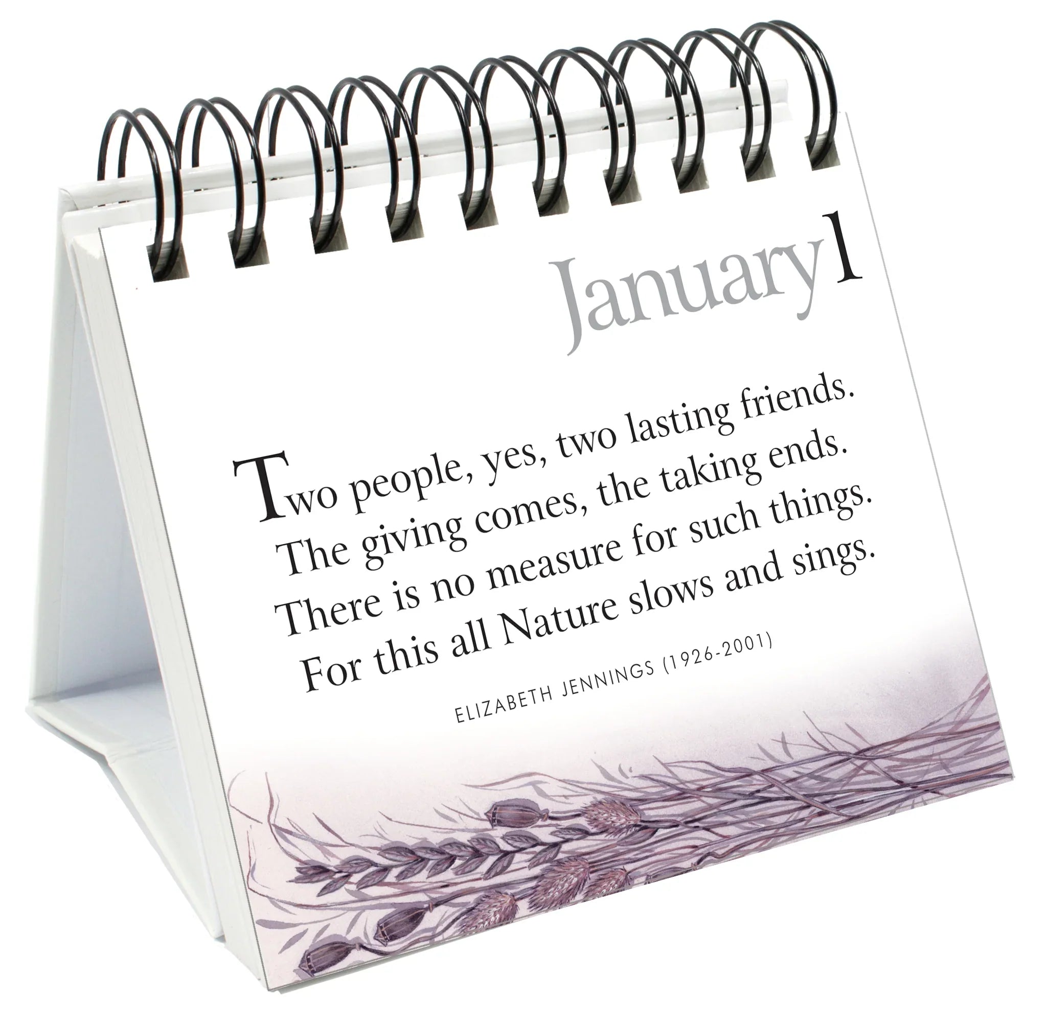 365 Great Days - Friendship - Page-A-Day Desk Easel Calendar