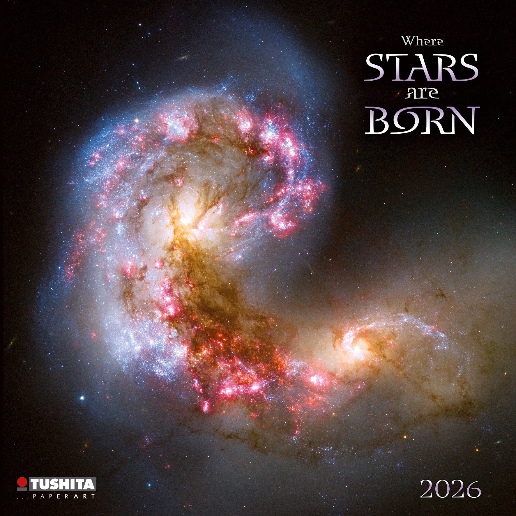 2026 Where Stars are Born - Square Wall Calendar