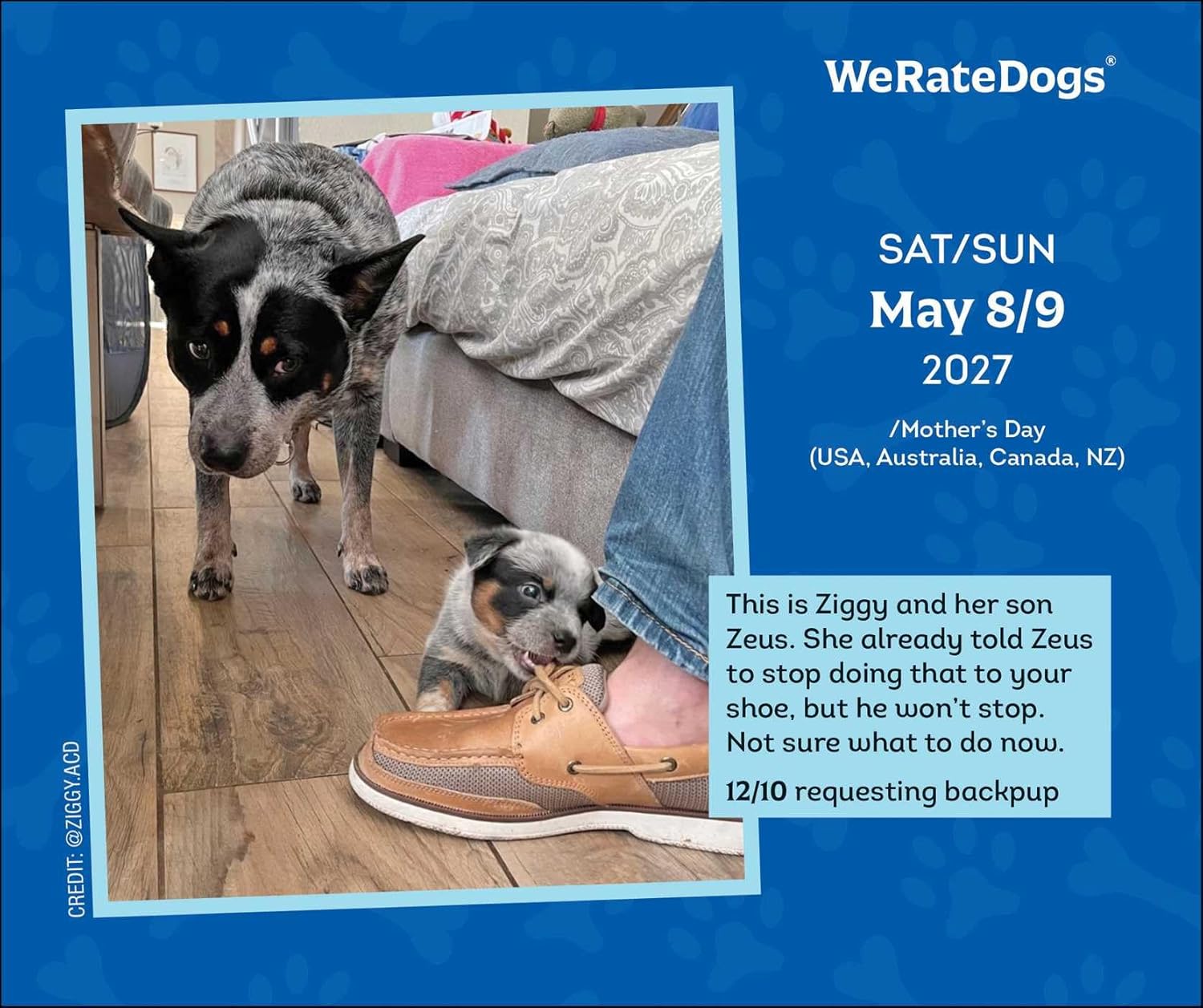 2027 WeRate Dogs - Daily Boxed Page-A-Day Calendar