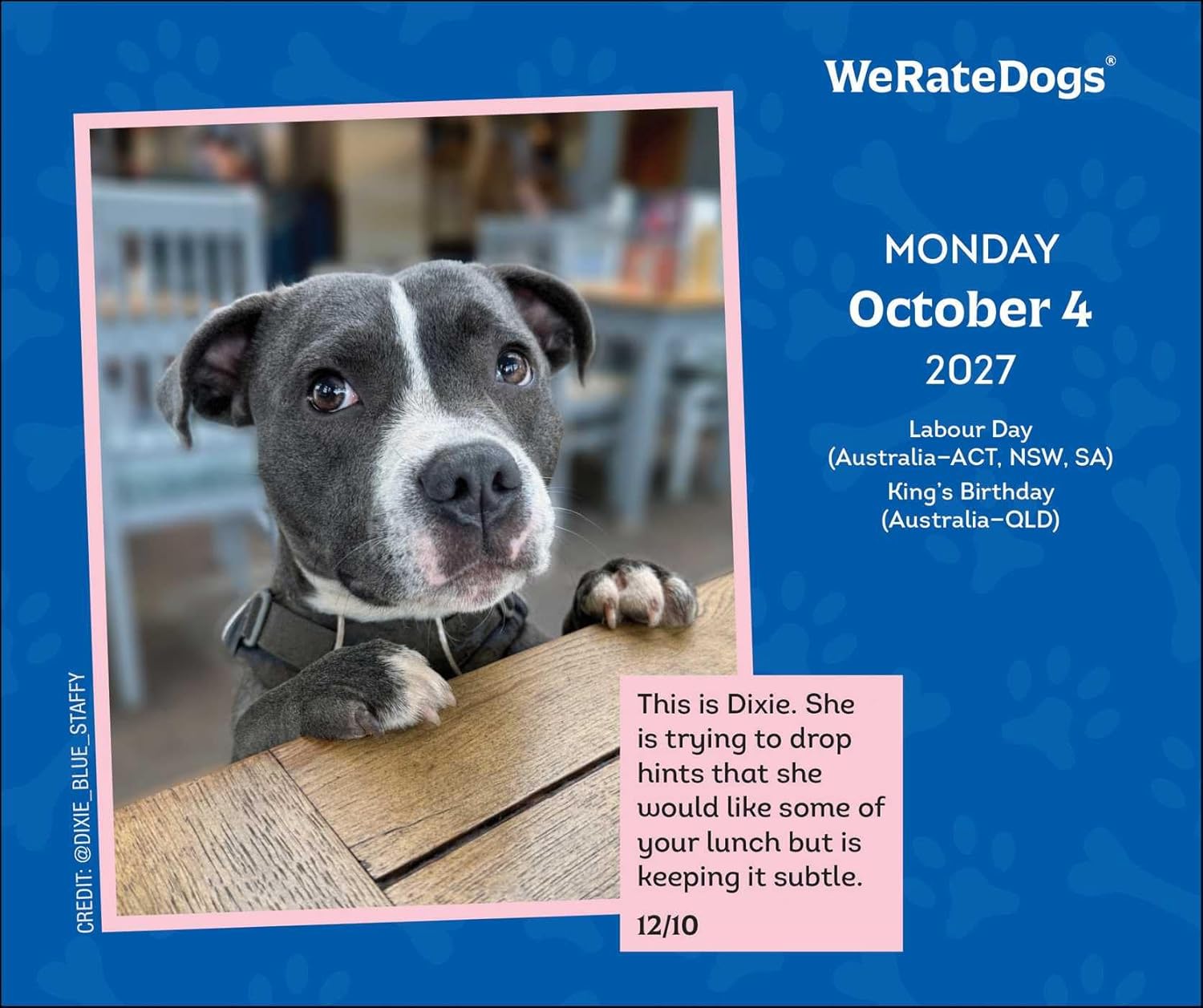 2027 WeRate Dogs - Daily Boxed Page-A-Day Calendar