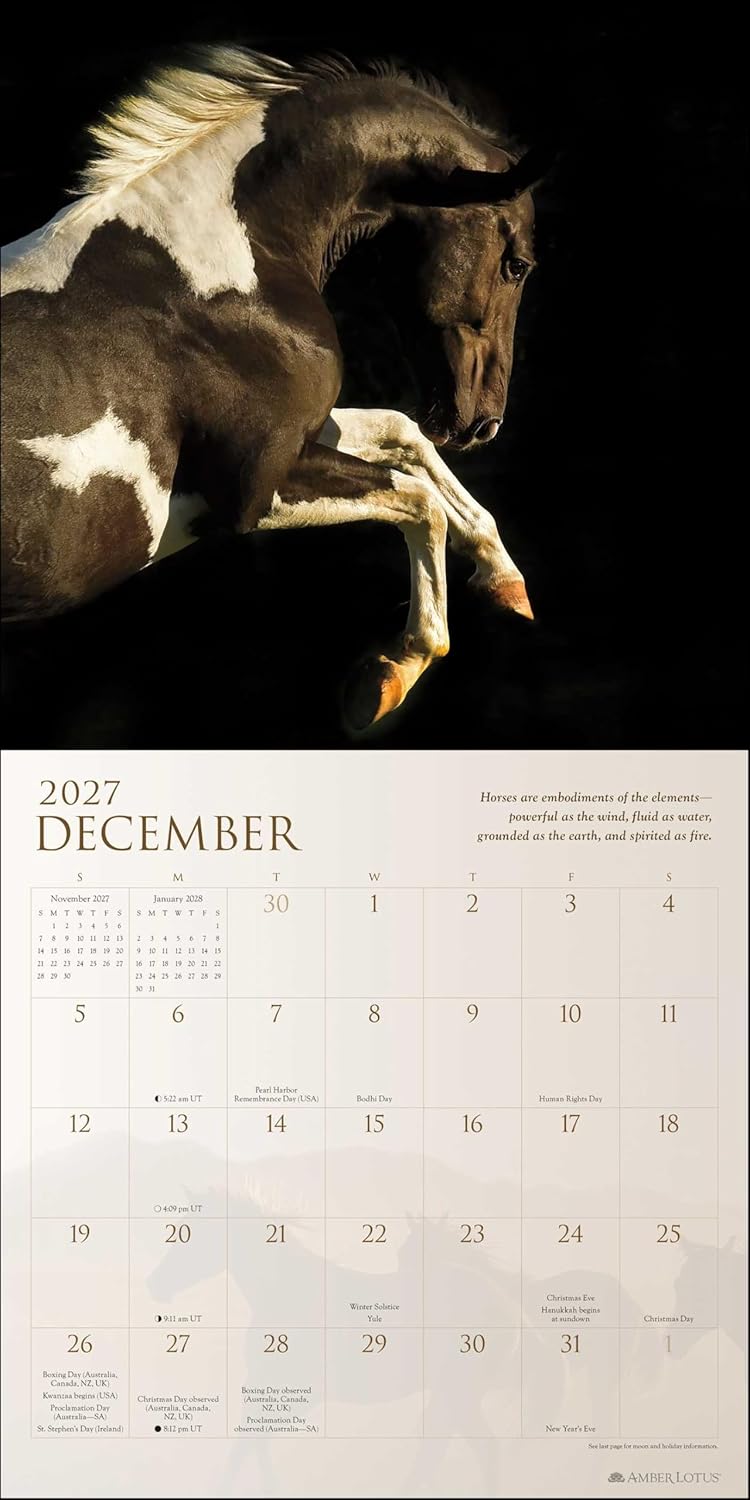 2027 Spirit Horses: Tony Stromberg - Square Wall Calendar