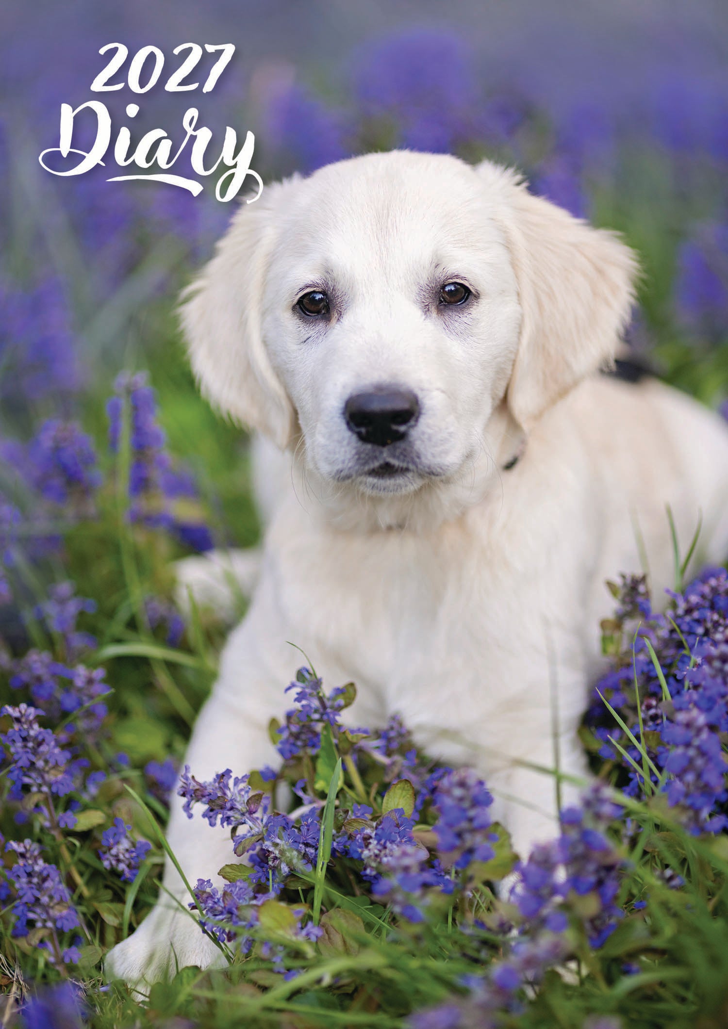 A5_Diary_Week_to_View_Animals_Cute_Puppies_2027.jpg
