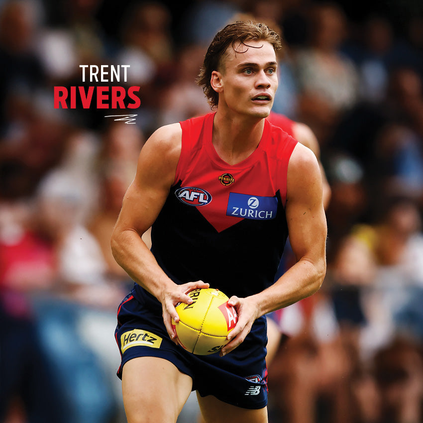 2027 AFL Melbourne Demons calendar image 3