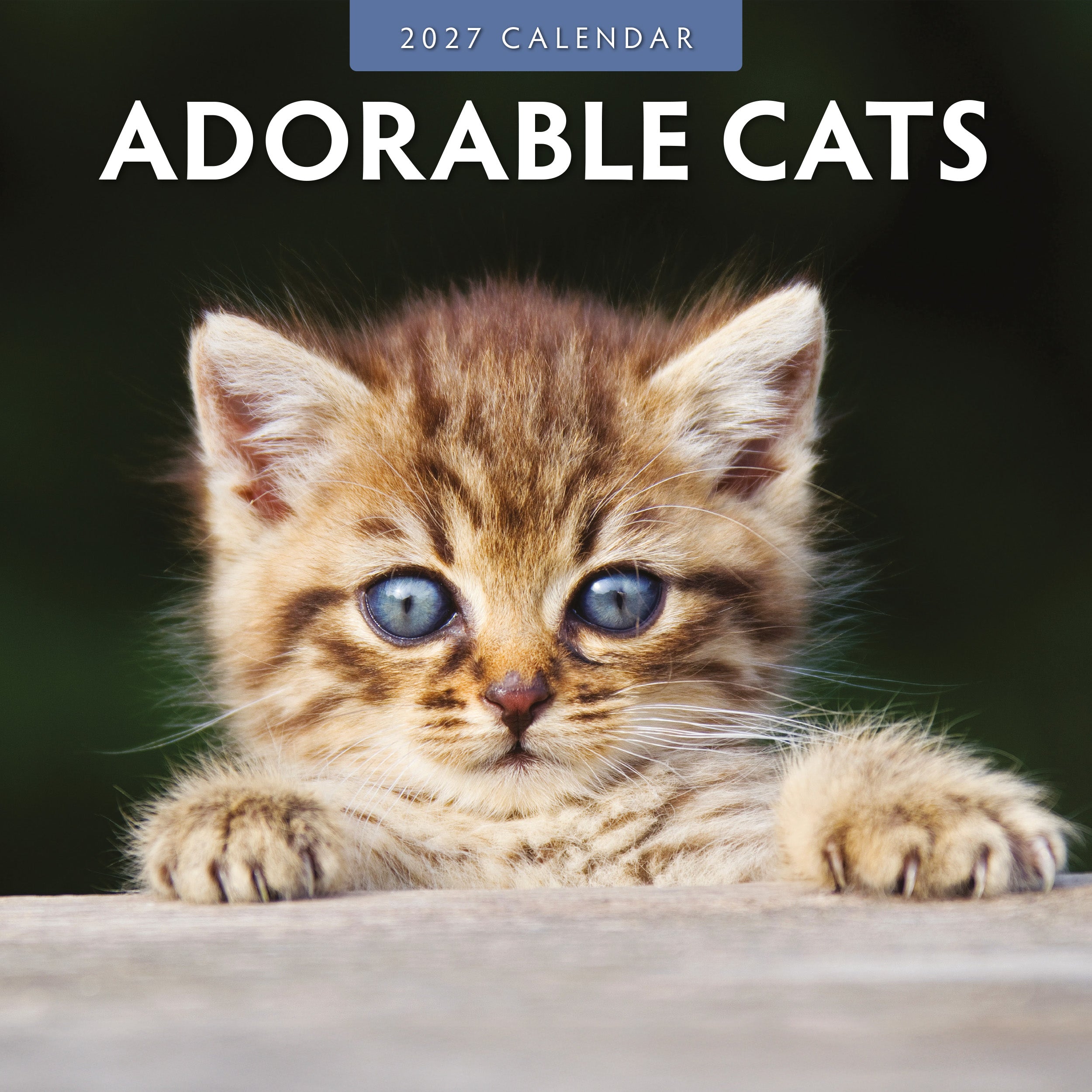 2027 Adorable Cats - Square Wall Calendar