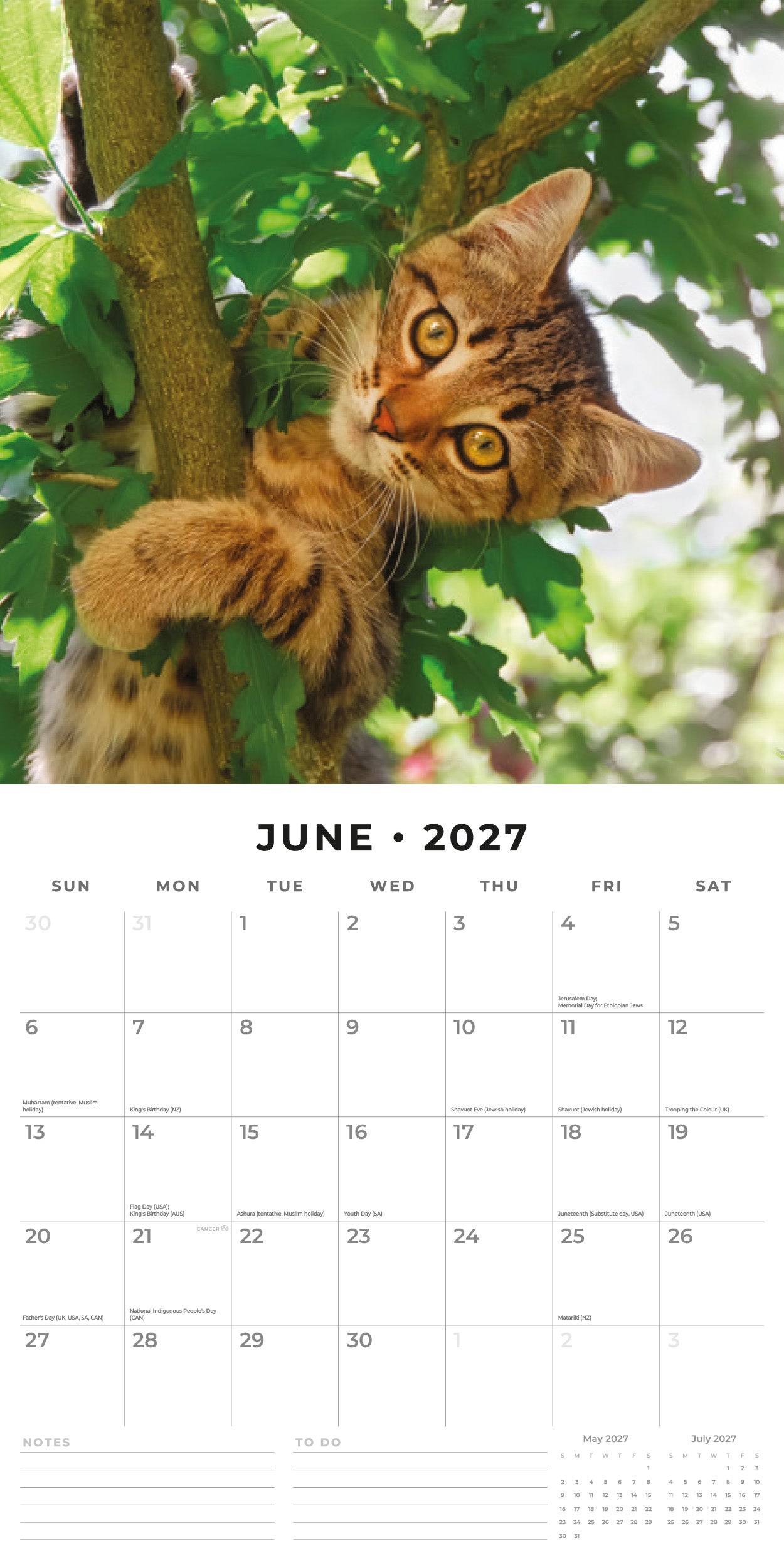 2027 Adorable Cats - Square Wall Calendar